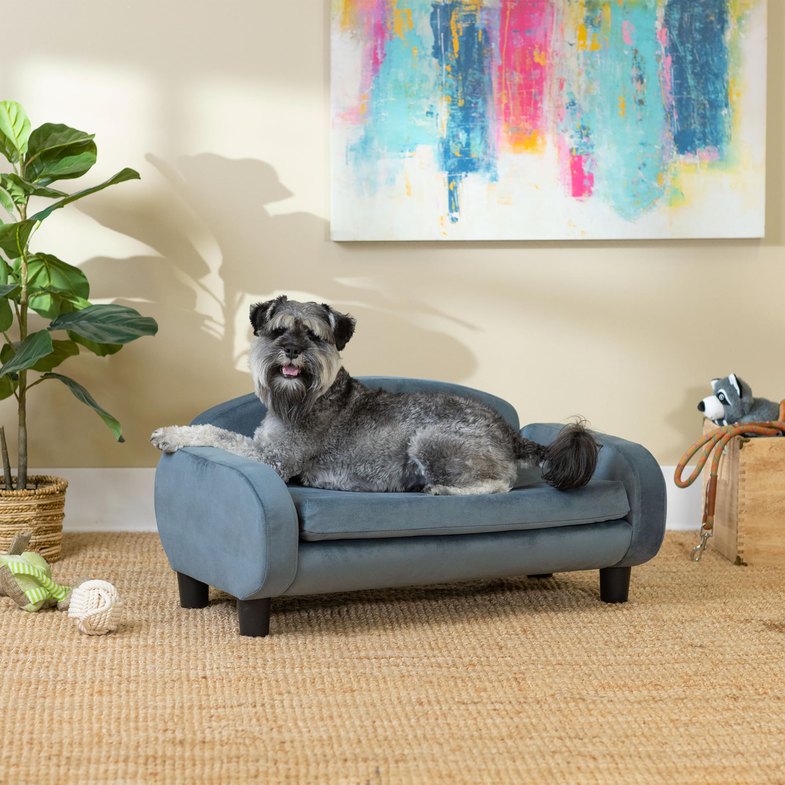 Paws & Purrs Modern Pet Sofa 31.5 Wide Low Back Lounging Bed with Removable Mattress Cover in Espresso/Cornflower