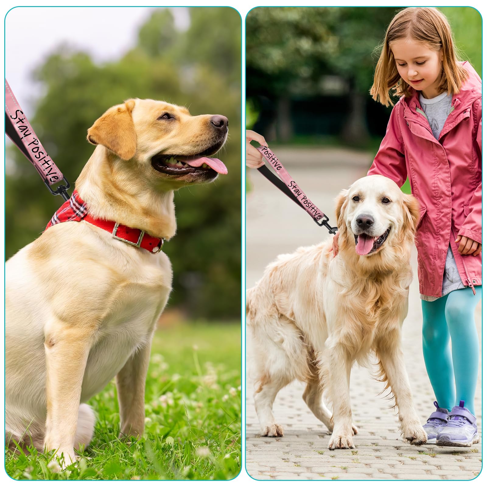 Stay Optimistic Nylon Short Dog Leash With Padded Handle - Reflective, Ideal For Training Control Of Large And Medium Dogs