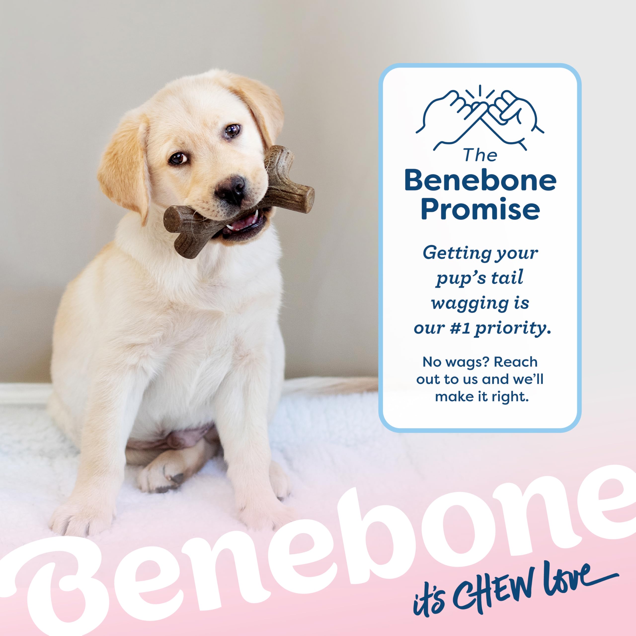 Benebone Puppy 4-Pack Chew Toys, Nylon & Real Bacon, for Dogs 30lbs & Under, Brown, Model 504080