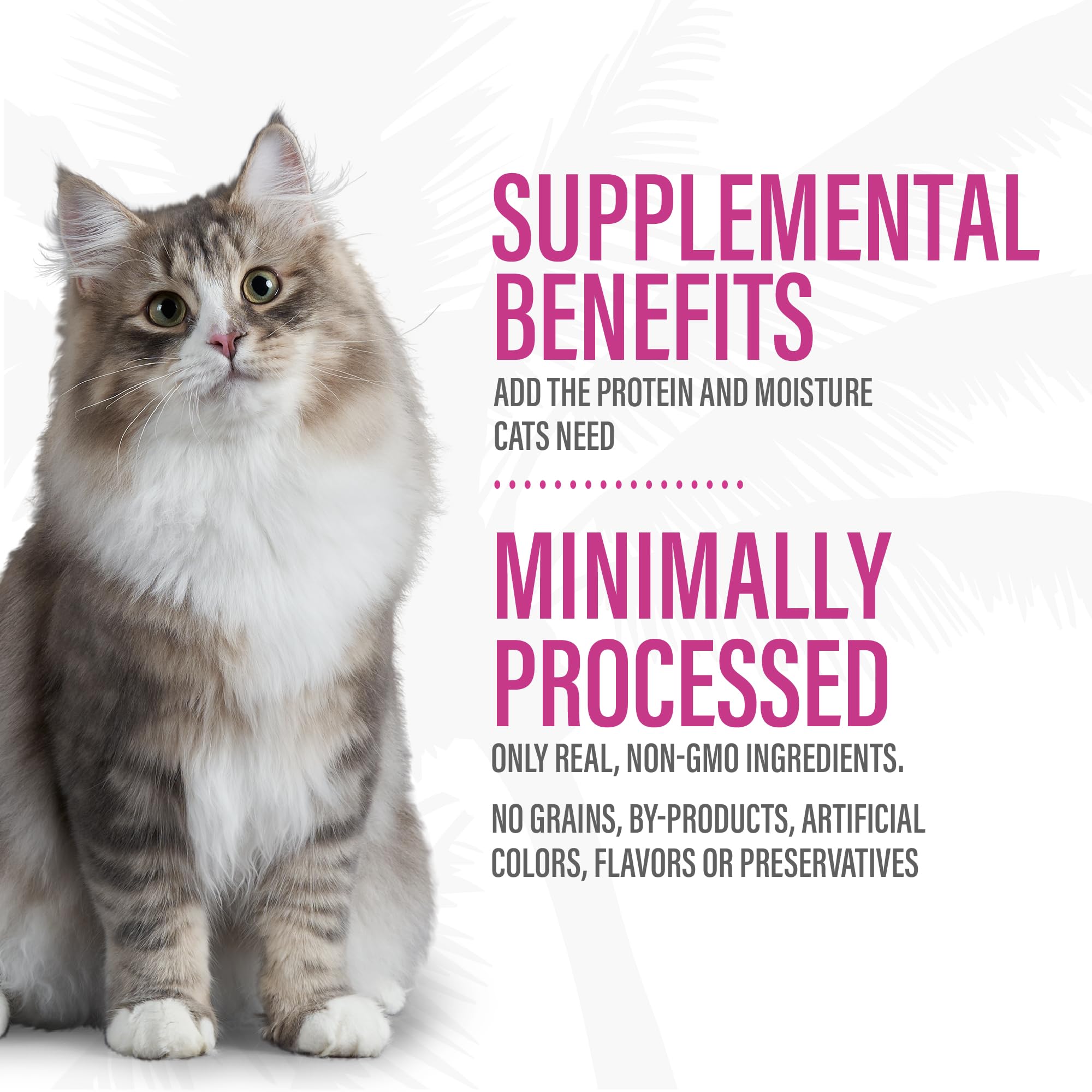 Tiki Cat Born Carnivore Complements Wet Cat Food Topper, Variety Pack 2.1 oz. Pouch (12 Count)