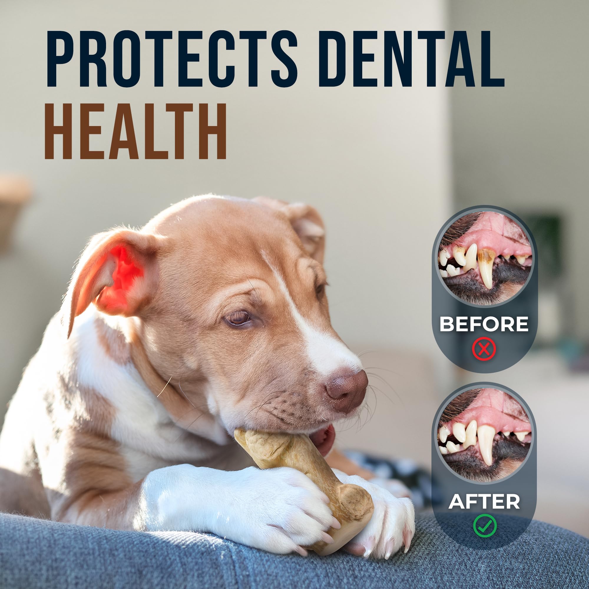 GOWGOW Gorilla Wood Dog Chew Toys - 100% Natural, Wood Chews for Dogs - Stress Relief, Teeth Cleaning & Reducing Boredom, Wood D