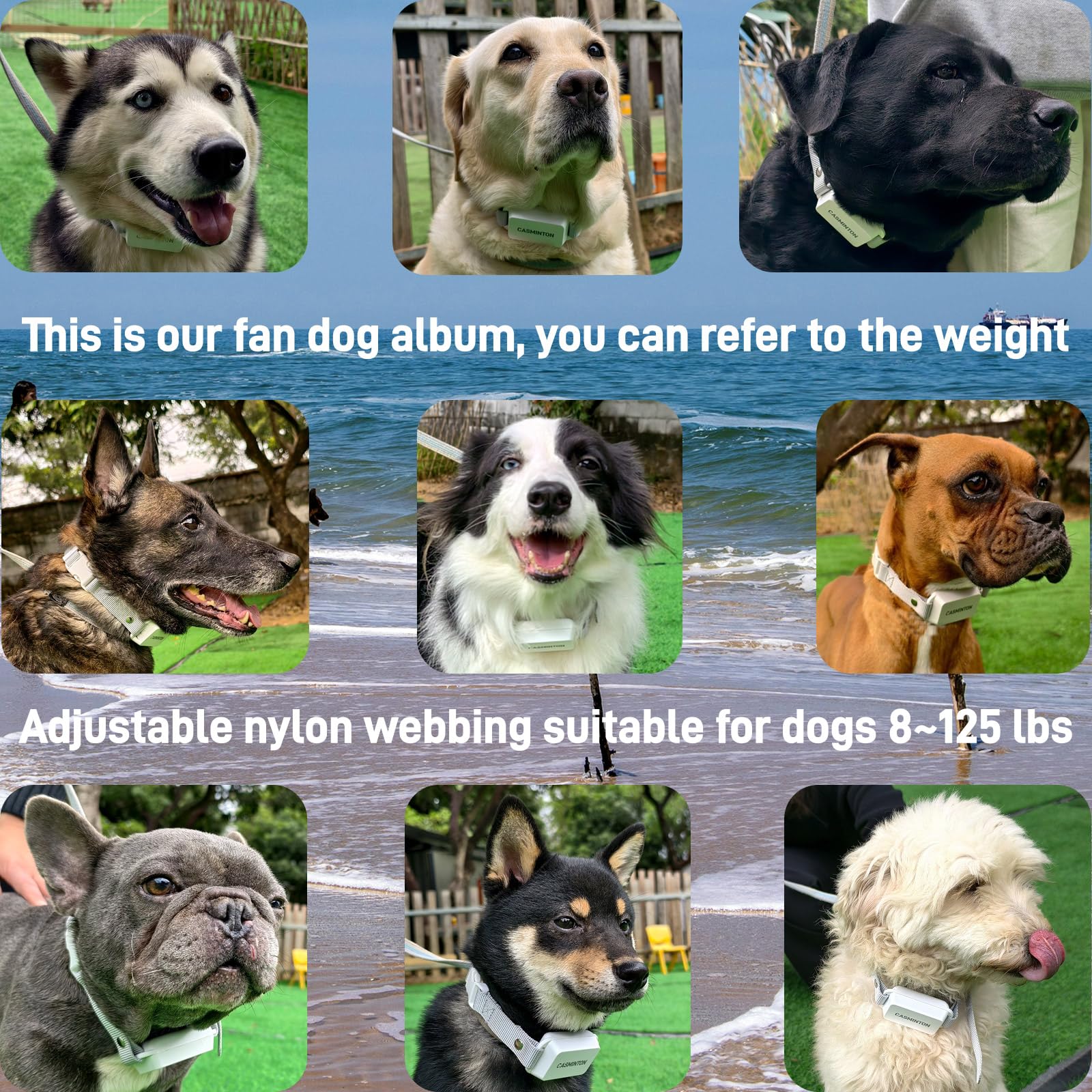 Casminton Premium Dog Training Collar With Remote - Rechargeable, Waterproof,Shock Off Mode,Beep/Vibration/Shock Modes, Adjustab