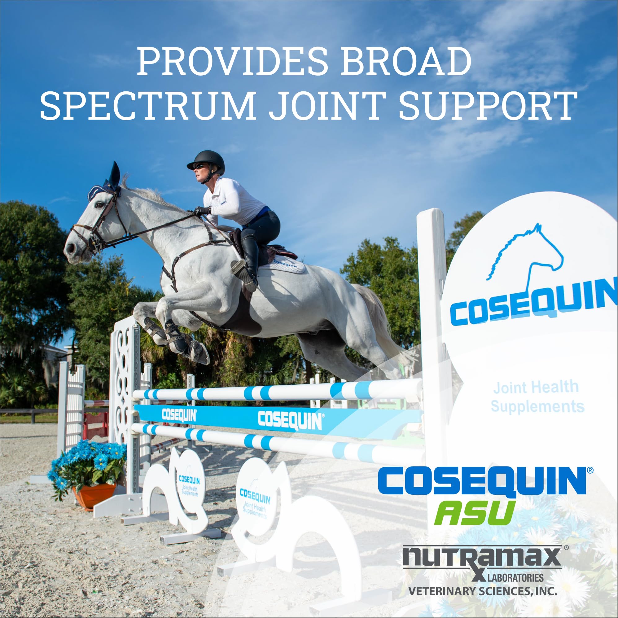 Nutramax Cosequin ASU Joint Health Supplement for Horses - Powder with Glucosamine, Chondroitin, ASU, and MSM, 500 Grams