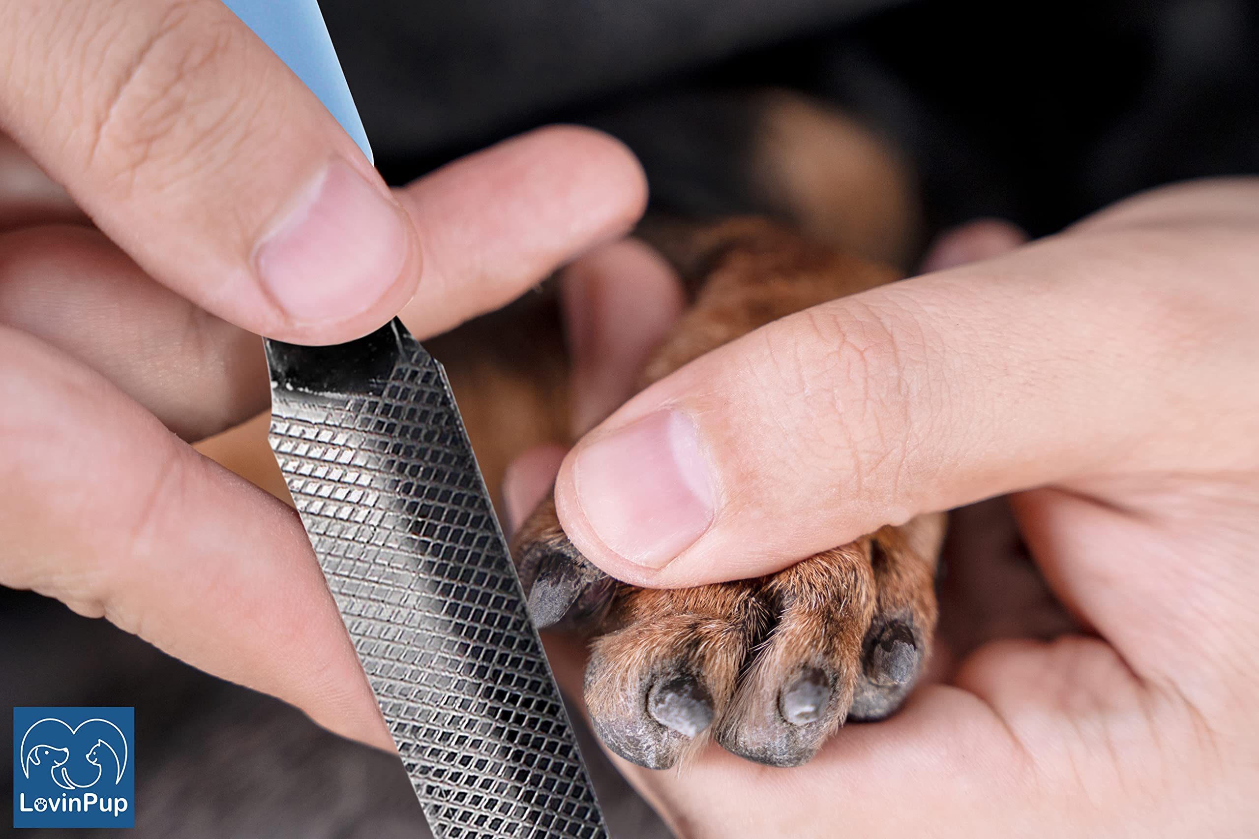LOVINPUP Dog Nail Filer Set, Professional Grooming Tool for Small/Large Dogs & Cats, Blue, 3 Nail Filers for Smoothing Rough Edges