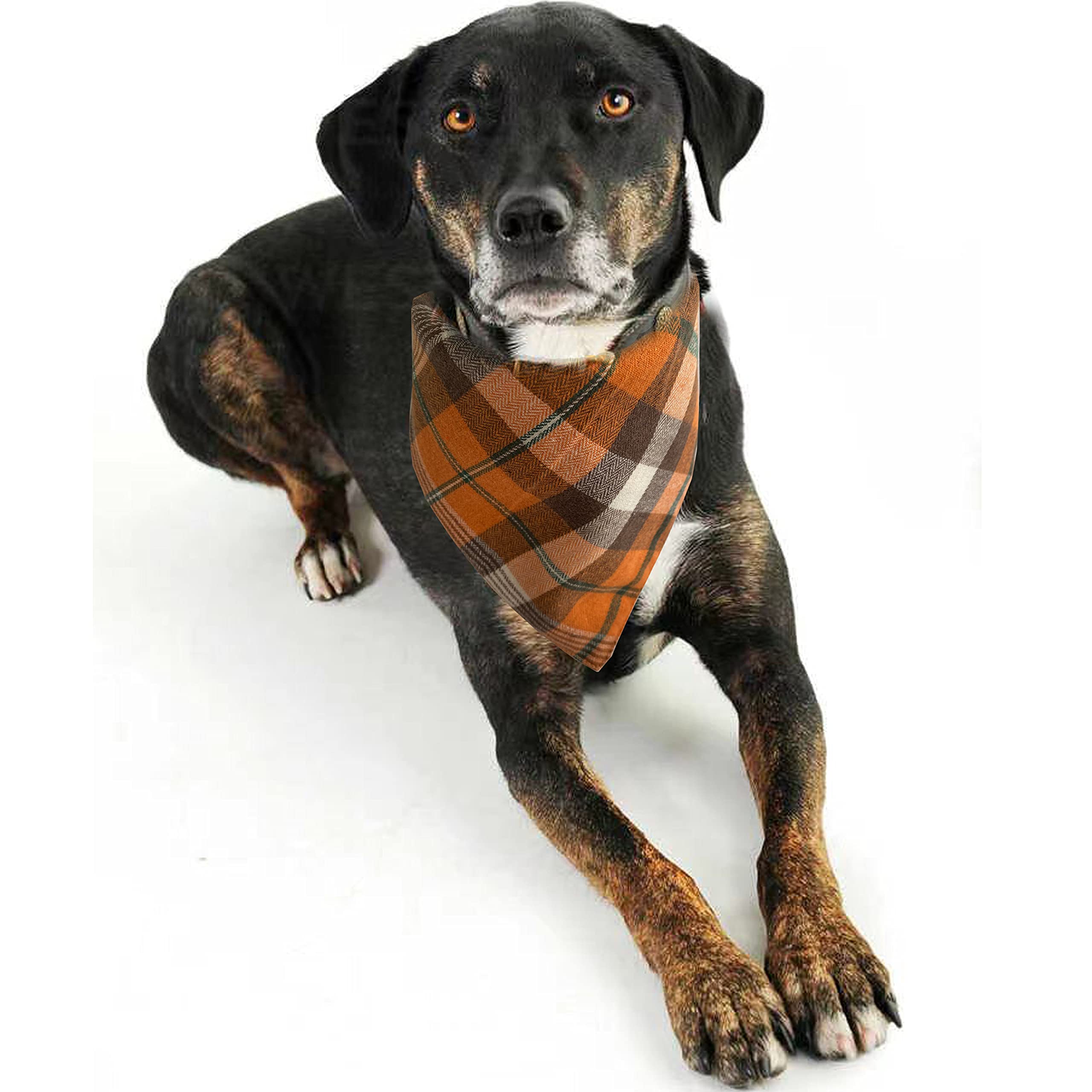 Realeaf Thanksgiving Fall Dog Bandanas 2 Pack, Orange Plaid Pet Scarf For Boy And Girl, Premium Durable Fabric, Holiday Halloween Bandana For Large And Extra Large Dogs (X-Large)
