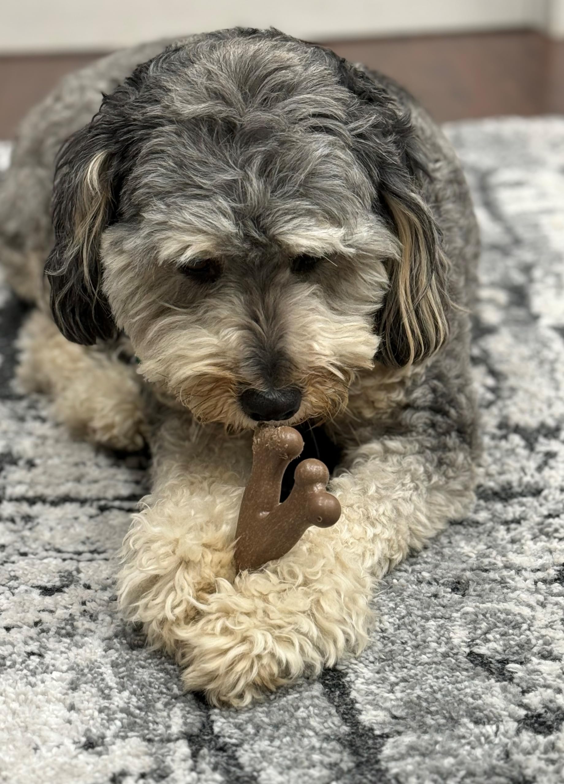 Spot Ethical Pets 54312 Bambone Wish Bone Chicken Pet Chew Toys