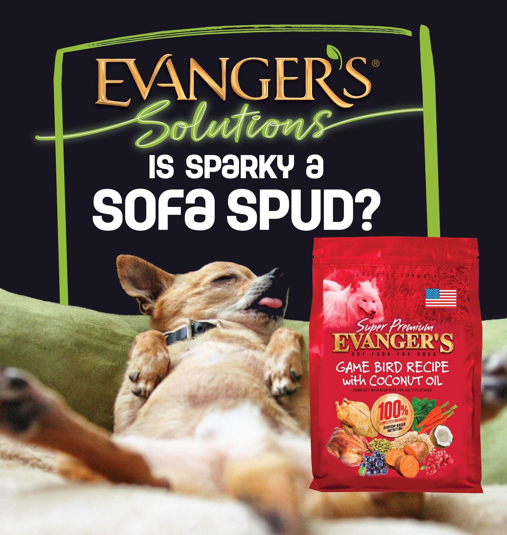 Evangers Super Gamebird Recipe with Coconut Oil Dry Dog Food - 4.4 lb Bag - Hypoallergenic Duck & Turkey Formula - Grain-Free,