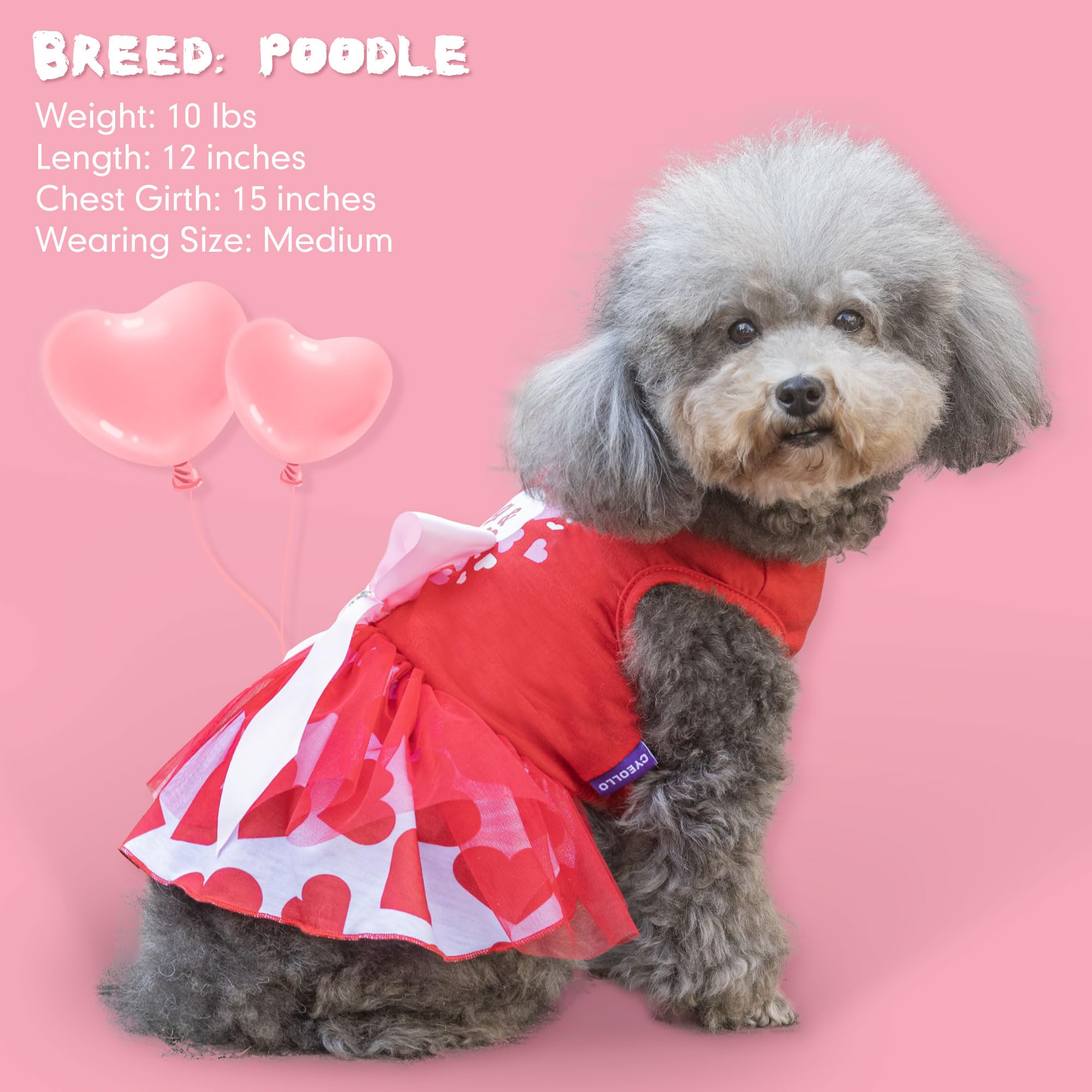 Cyeollo Valentine'S Day Dog Dress Holiday Dog Clothes Heart Print Tulle Doggie Dresses For Small Dogs Girls Party Outfit Puppy C