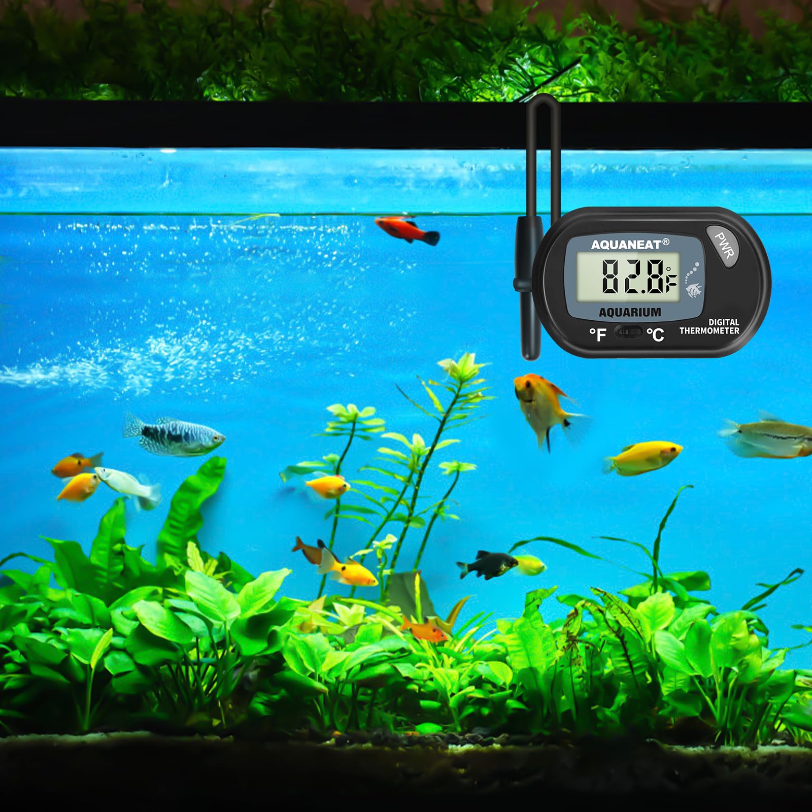 Aquaneat 2 Pack Aquarium Thermometer, Fish Tank Thermometer, Digital Thermometer, Reptile Thermometer, Terrarium Water Temperature Test, With Large Lcd Display