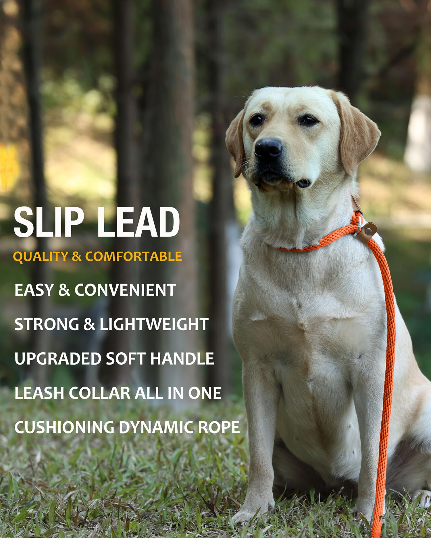 Lynxking Dog Leash Slip Lead Snap Hook Rope Leash Strong Heavy Duty Braided Dog Training Leash No Pull Training Lead Leashes For Medium Large And Small Dogs