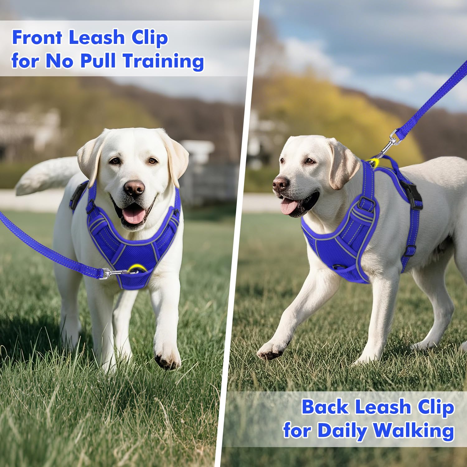 Joytale Step-In No Pull Dog Harness For Small Dogs With 2 Leash Clips, Reflective Pet Vest With Easy Control Handle, Adjustable