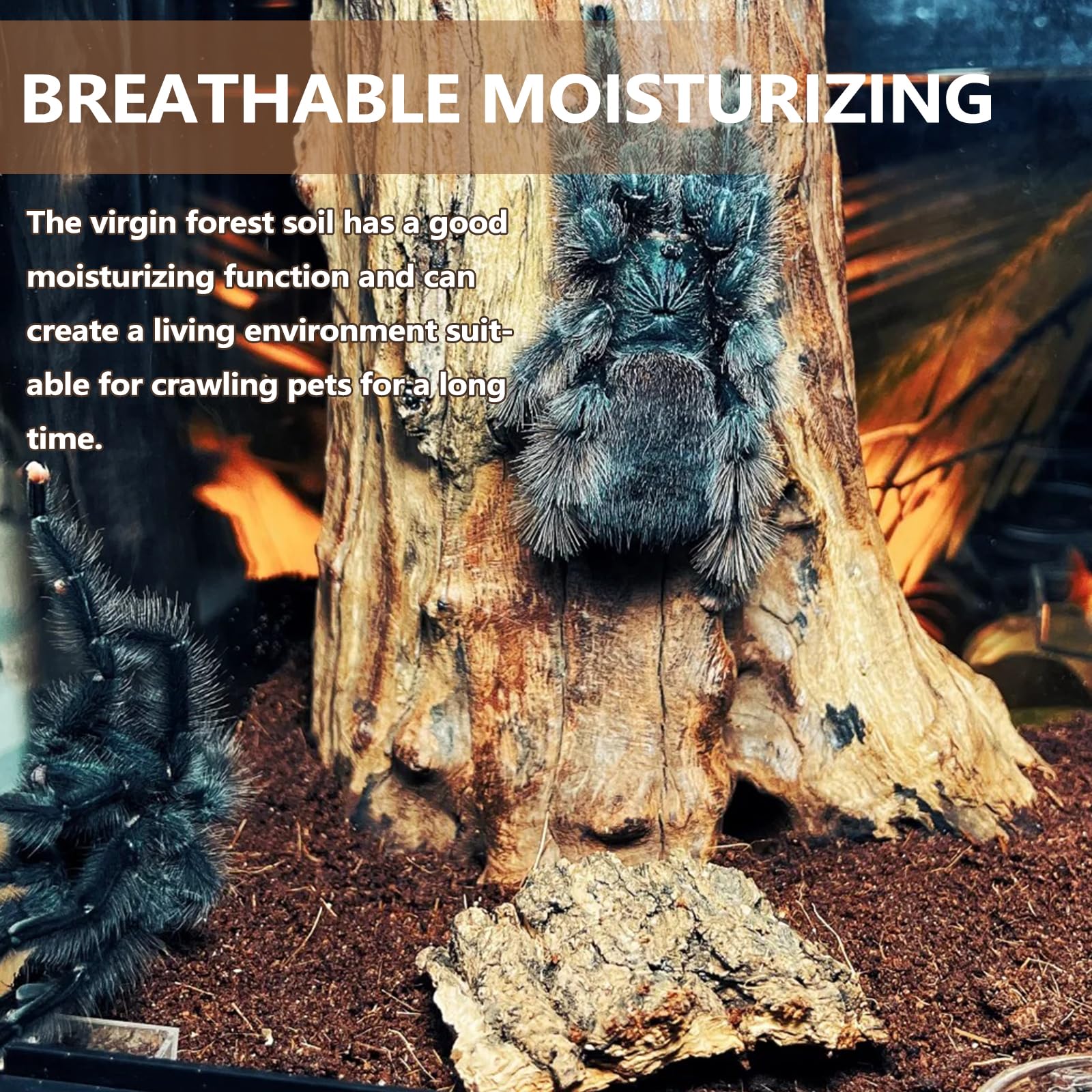 Bnosdm Reptile Soil Substrate,Natural Terrarium Bedding,Snake Bedding,Fluffy Reptile Tank Substrate For Tortoise Hermit Crab Tar