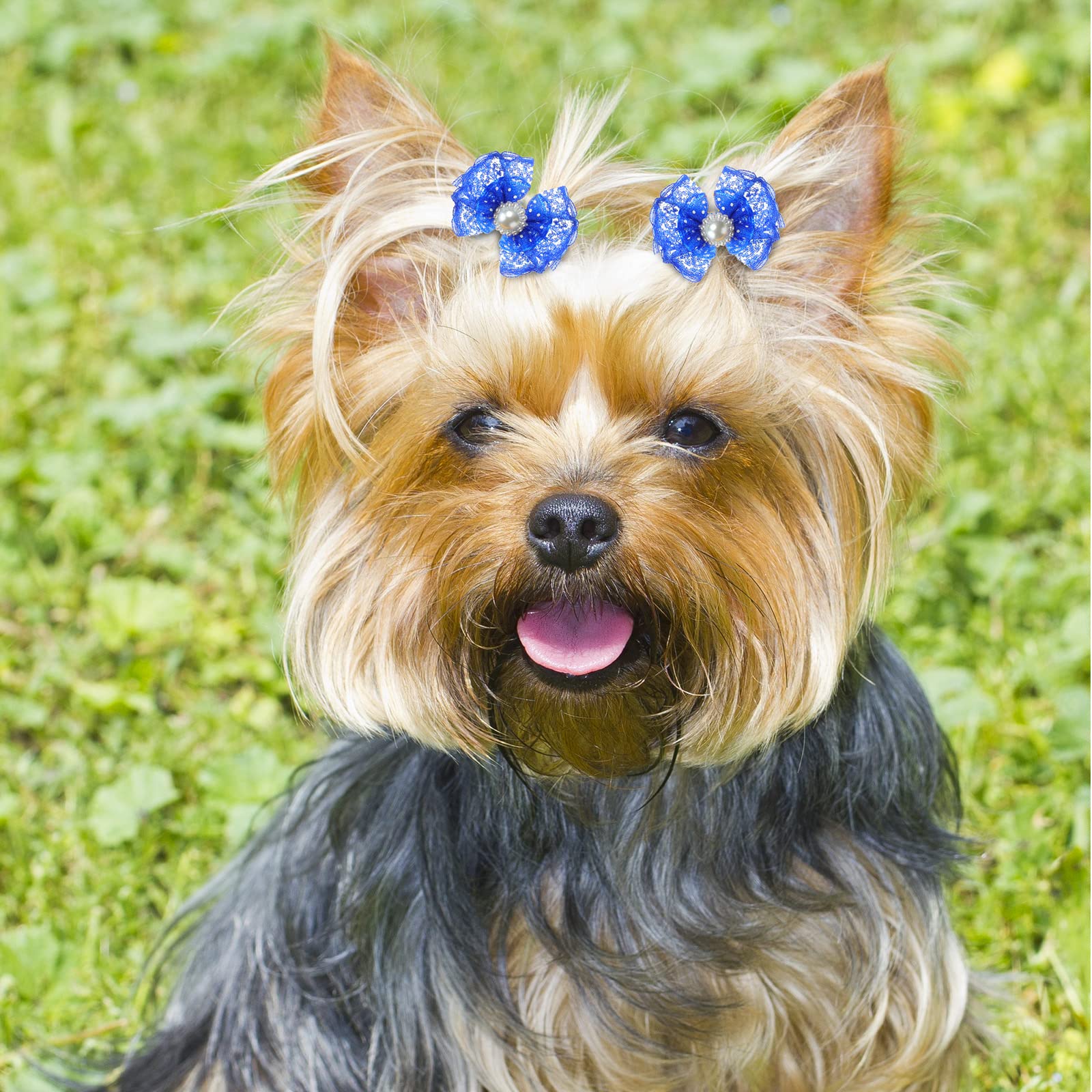 Reginary 300 Pack Dog Bows Grooming Cute Dog Hair Bows Girl With Rubber Bands Small Puppy Bowknots Colorful Hair Accessories For