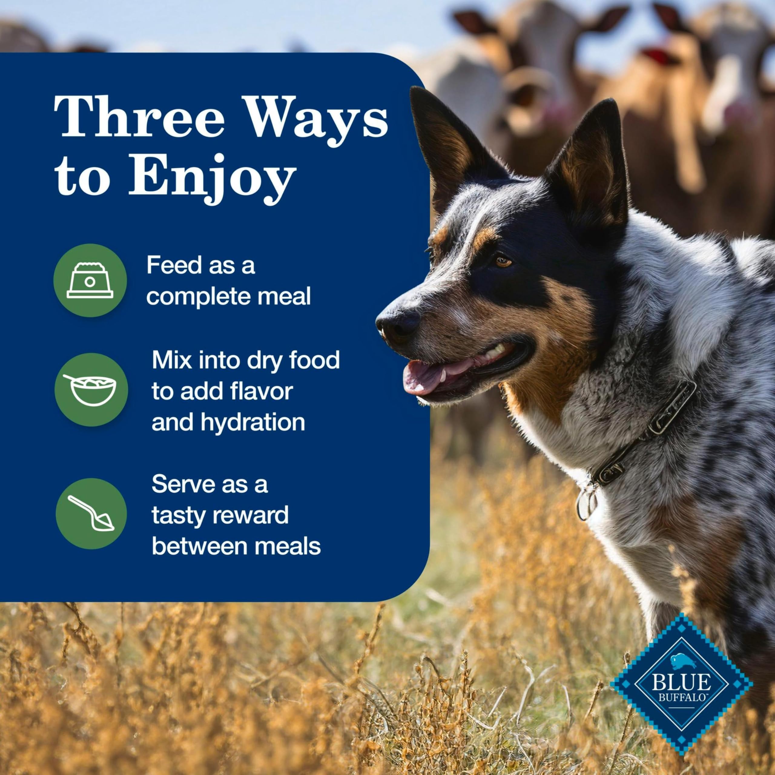 Blue Buffalo Homestyle Recipe Adult Wet Dog Food, Made with Natural Ingredients, Turkey and Lamb Dinner Variety Pack, 12.5-oz Ca