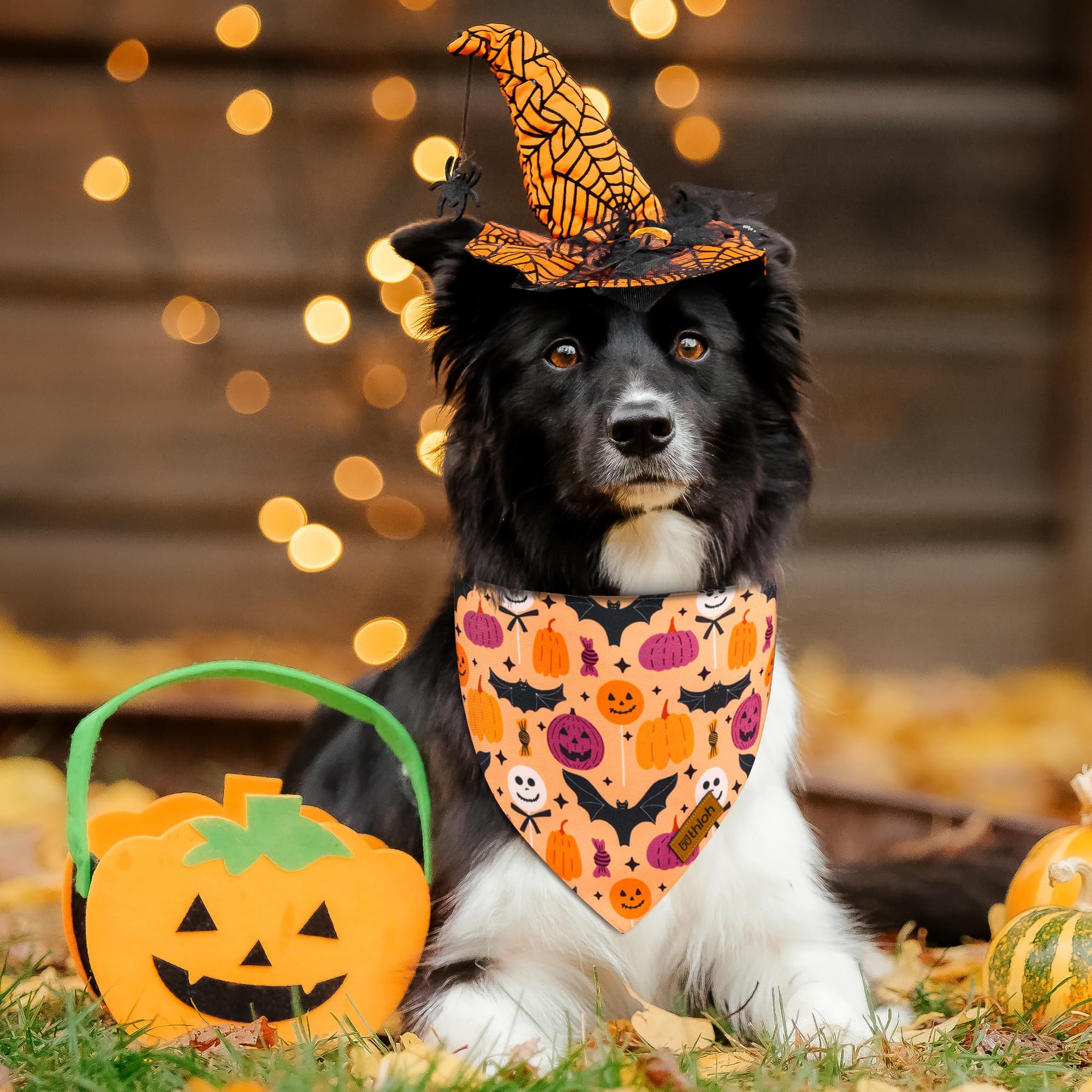 Thloh Halloween Dog Bandanas - 2 Pack Purple Dog Bandana With Snap Button | Reversible Pet Scarf For Boy & Girl | Premium Durabl