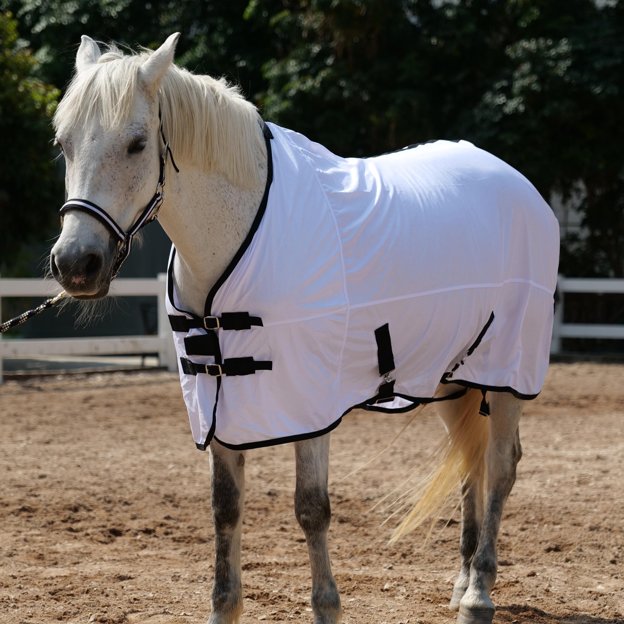 TARFEPA Horse Fly Sheet Equine Summer Sheets, Comfy Mesh Bug and Mosquito Protection Standard Neck - White 78