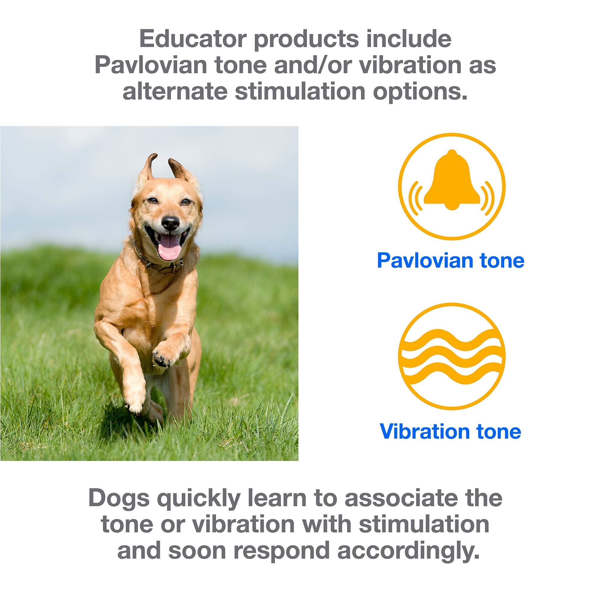 Educator Ez 1/2 Mile Dog Training Collar With Ergonomic Remote, Safe Humane Vibration Stimulation, Pavlovian Tone, Waterproof, Odorproof Biothane Collar, Night Light, Rechargeable, 1 Dog, Yellow