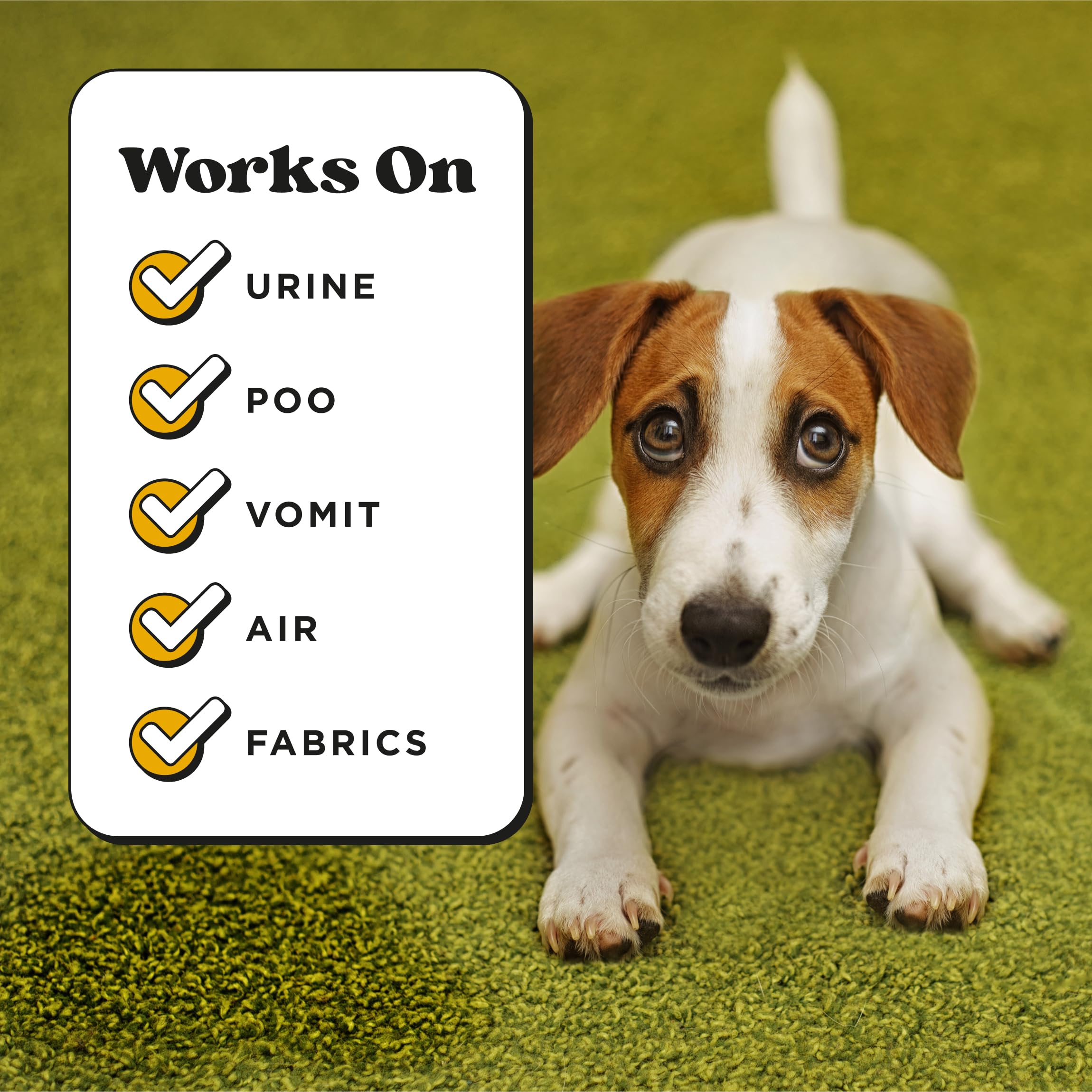 Pet-Pourri Pet Odor Air + Fabric Odor Eliminator Spray, Canine Coconut, 16 Fl Oz