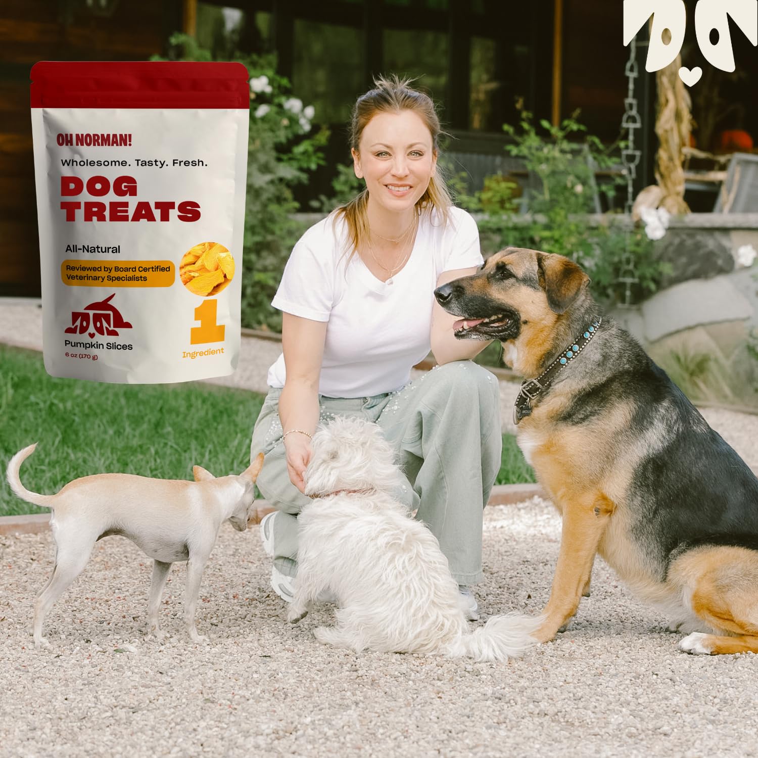 OH NORMAN! Single Ingredient Pumpkin Dog Treats, Healthy & Air Dried, 6 Oz, Ethically Sourced in Canada, Beige