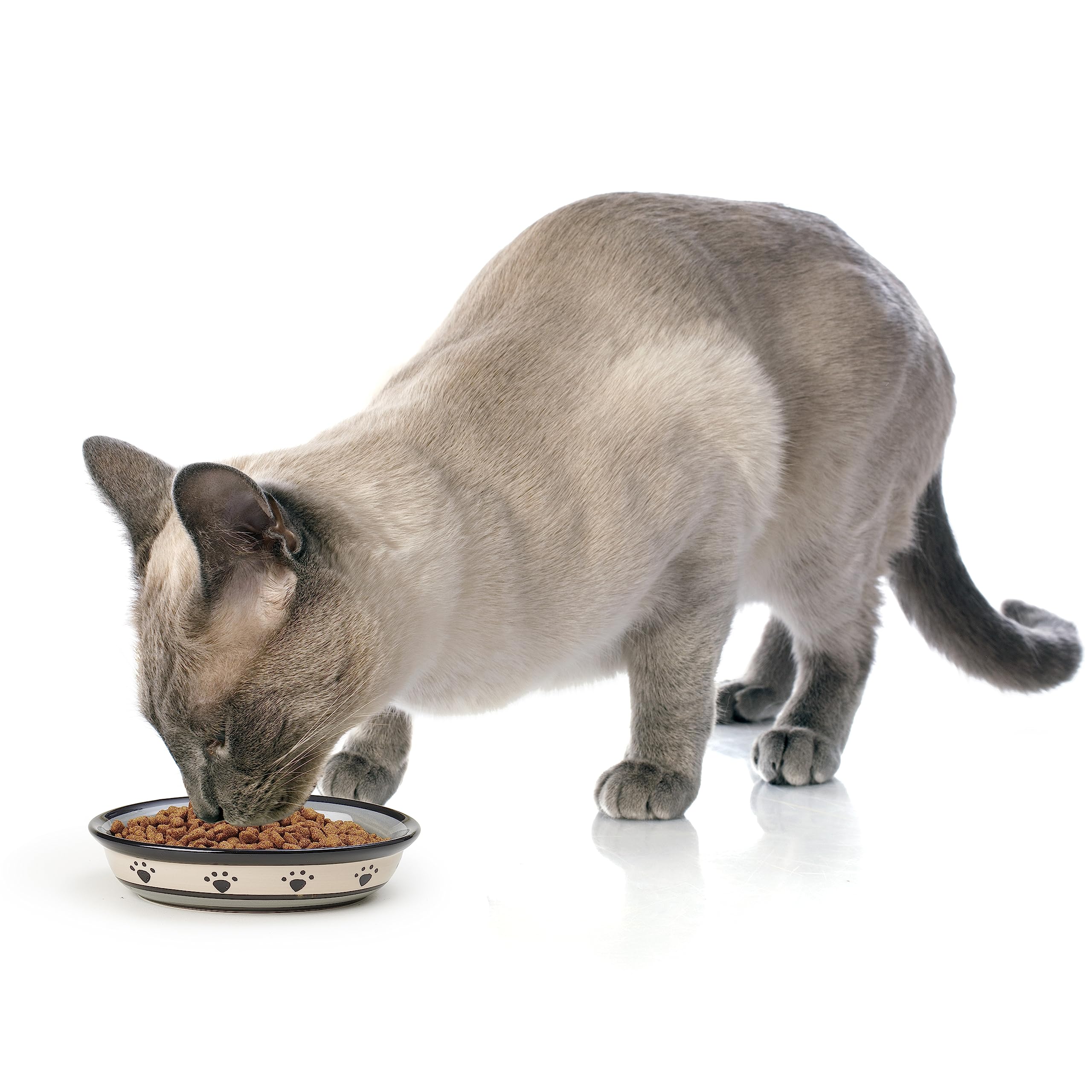 Petrageous 44247 Oval Metro Paws Stoneware Cat Bowl 6.25-Inch Wide And 1.5-Inch Tall Saucer With 1-Cup Capacity And Dishwasher And Microwave Safe For Small Dogs And Cats, Multicolored,Black