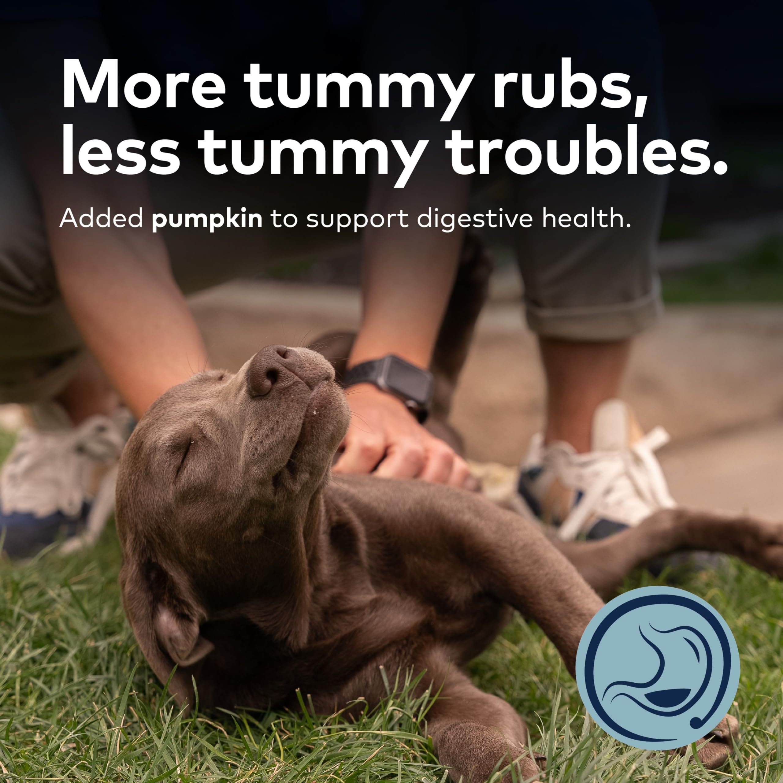 ZIWI Peak Steam & Dried Dog Food - Grass-fed Beef w/Pumpkin - High Protein, Low Carb, All Breeds & Lifestages, for Digestive Hea