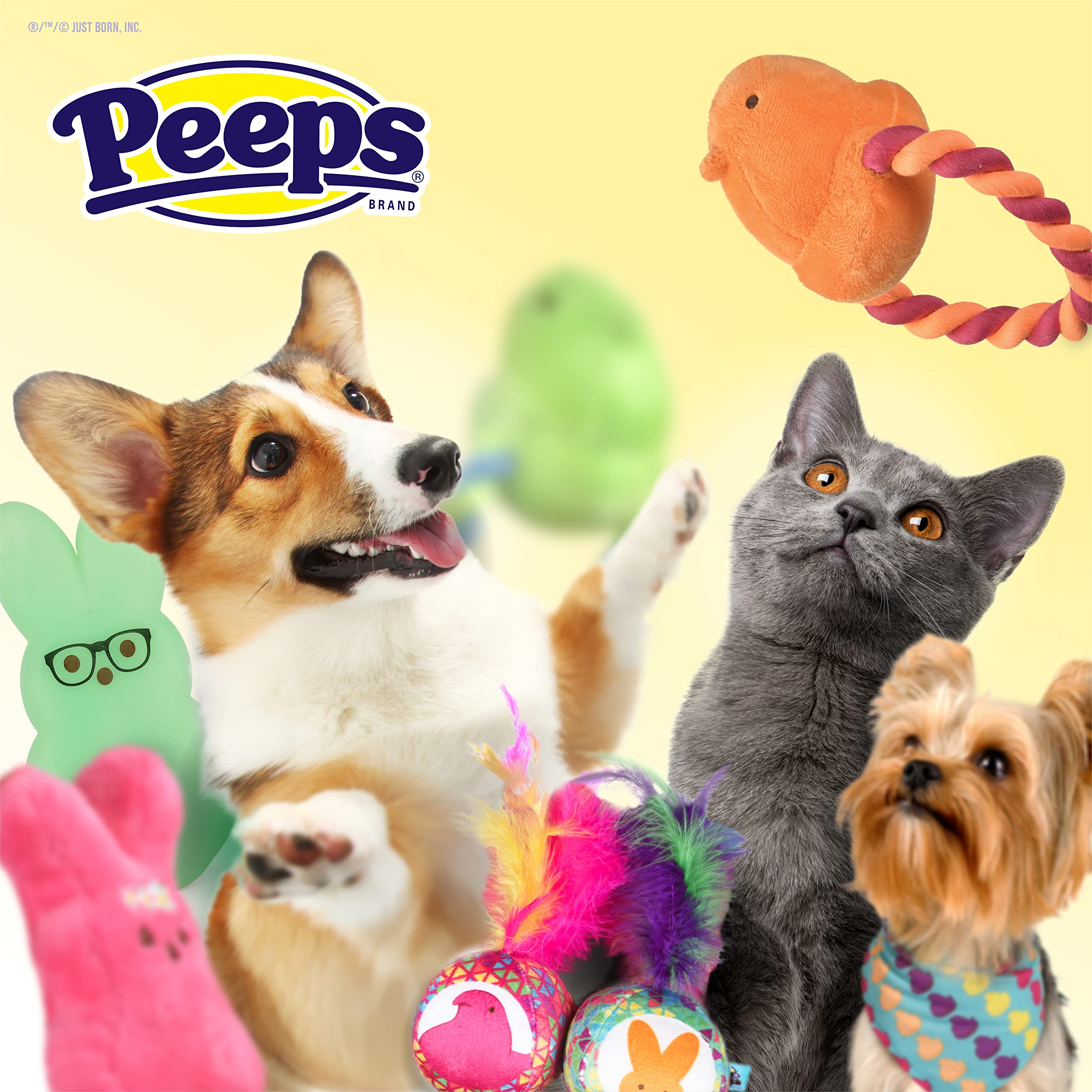 Peeps For Pets Chick Costume For Dogs, Small | Halloween And Easter Costume For Small Dogs | Cute Dog Costumes | Please See Sizi