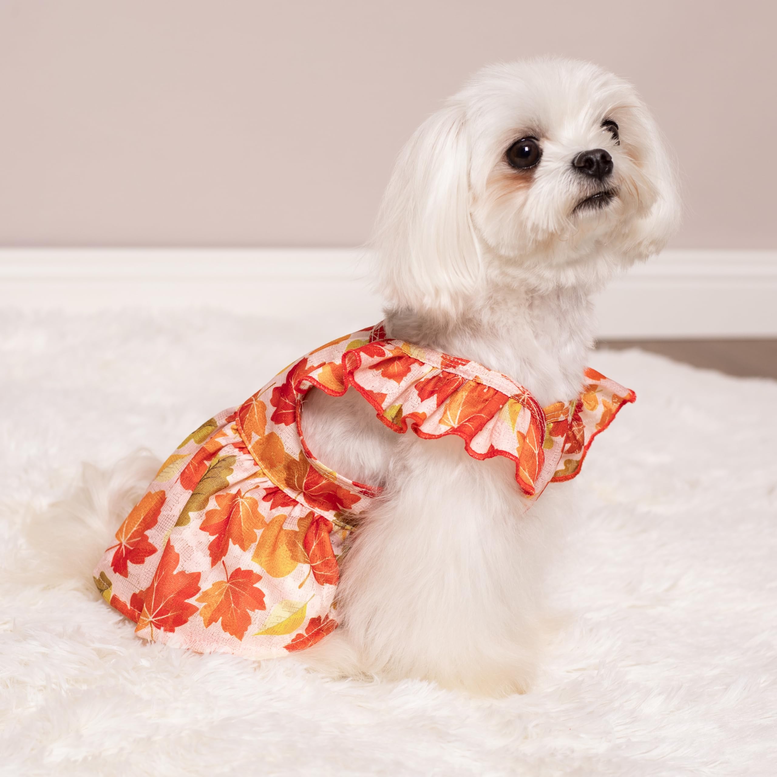 Fitwarm Maple Dog Dress, Ruffled Doggy Thanksgiving Dress, Fall Dog Clothes For Small Dogs Girl, Pet Outfit, Red, Orange, Medium