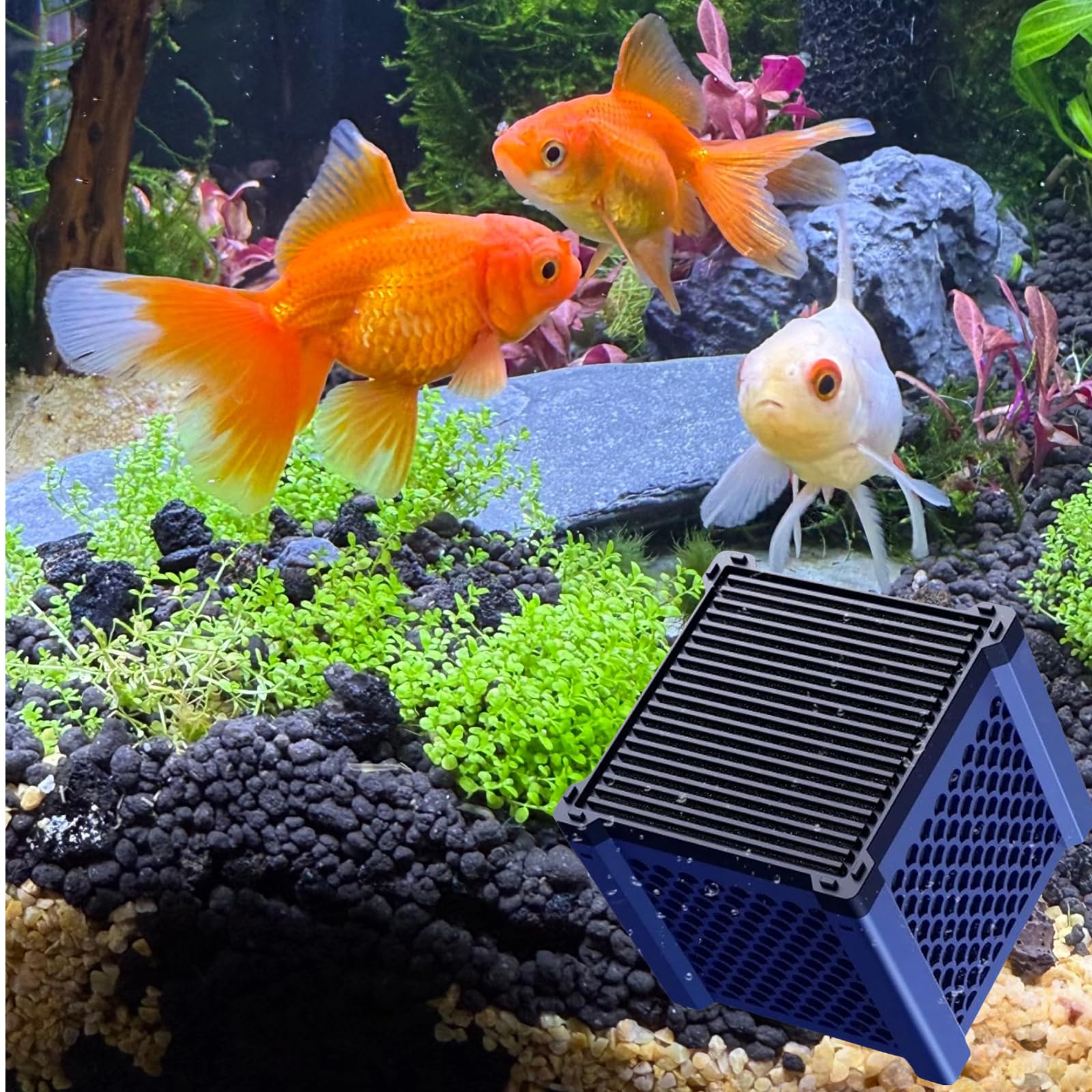 Pure Cube Water Trough Filter 2.0 Eco Aquarium Water Purifier Cube with Honeycomb Charcoal for Fish Tanks, Horse Troughs, Livest