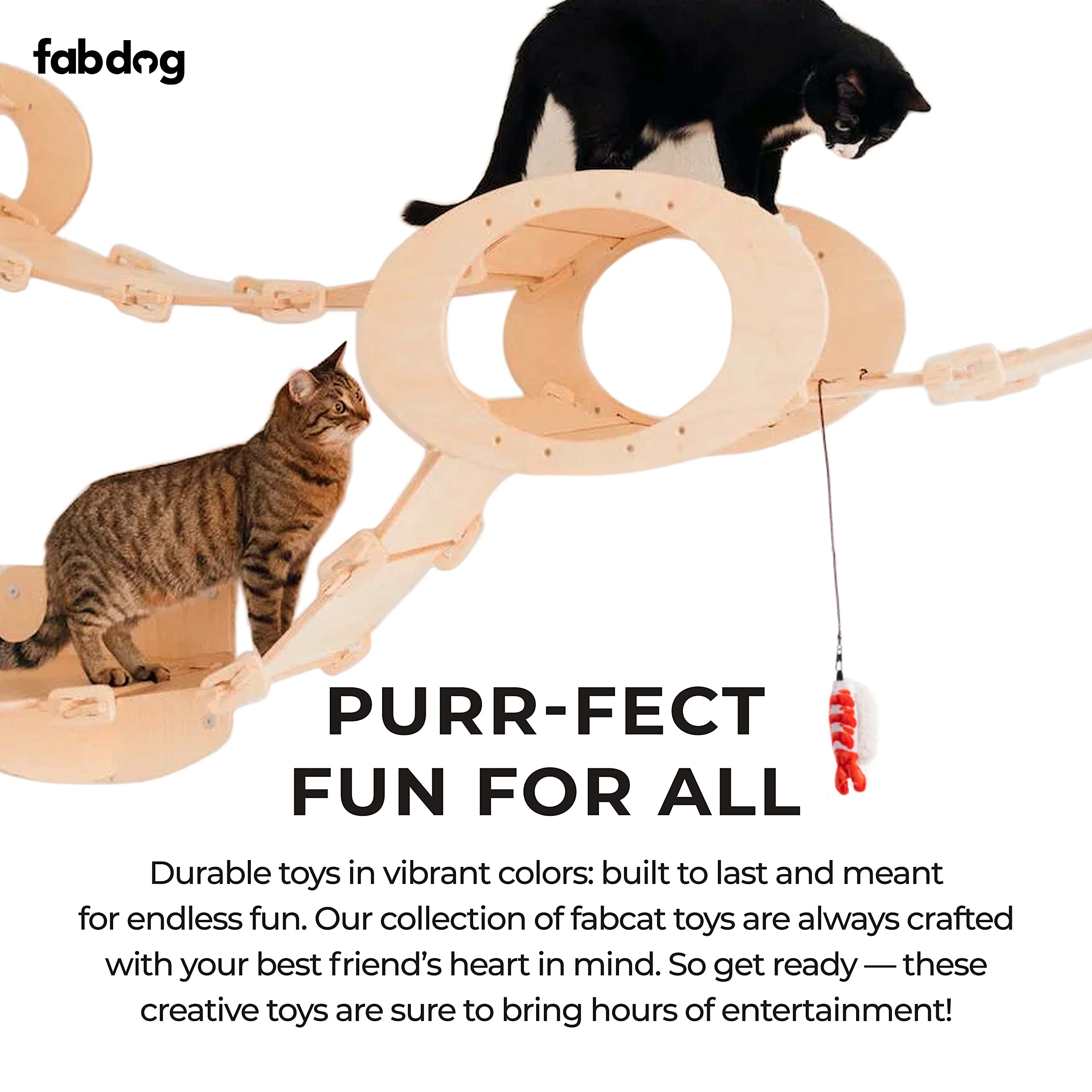 Fabdog Interactive Cat Toys For Indoor Cats - Cute Cat Toys Make Great Gifts - Best Catnip-Infused Cat Accessories | New Pack N Play Box Of 6 Sushi Rolls