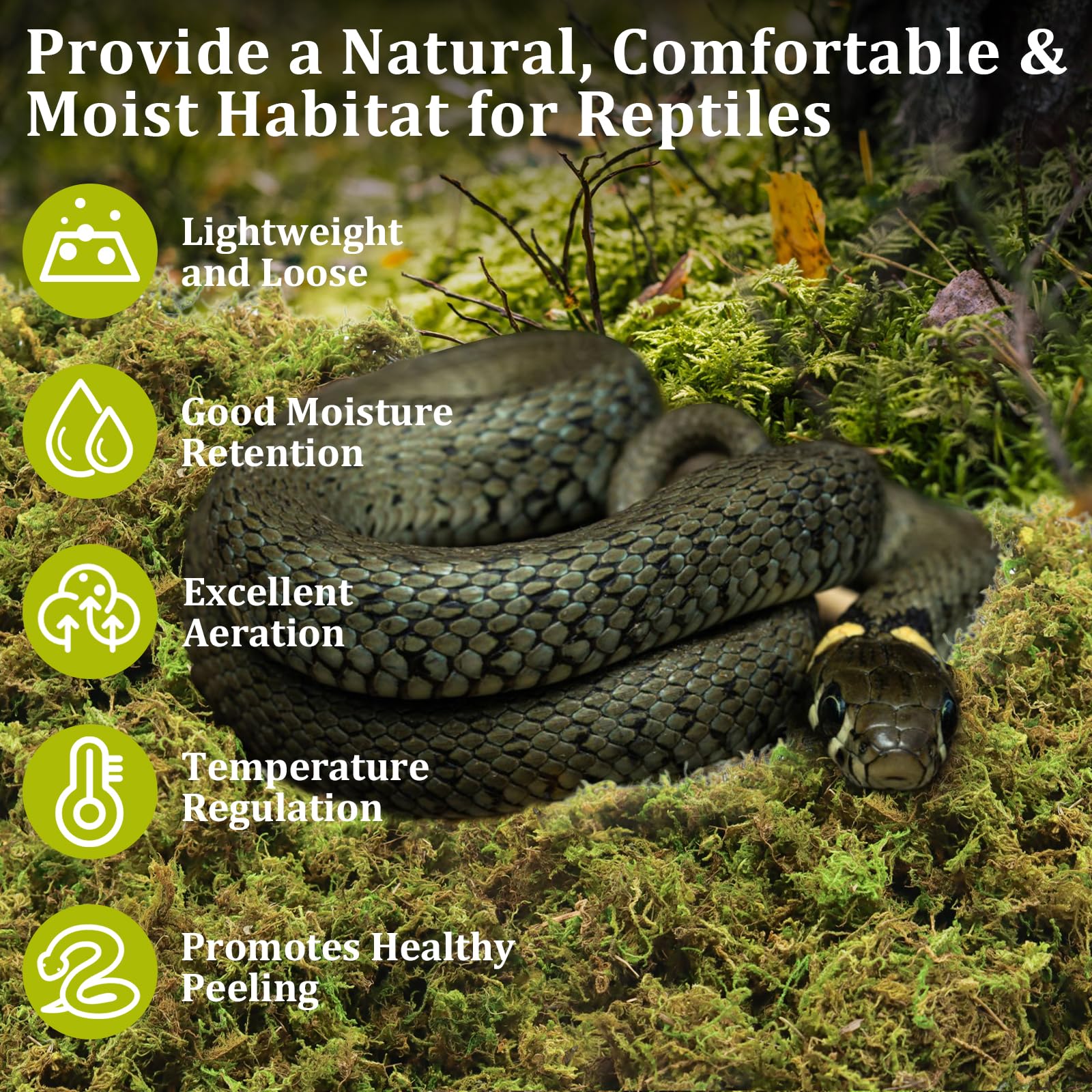 Legigo 14 Oz Sphagnum Moss For Reptile- 16 Qt Natural Reptile Moss Terrarium Moss Substrate, Snake Tank Moss Peat Moss Reptile B