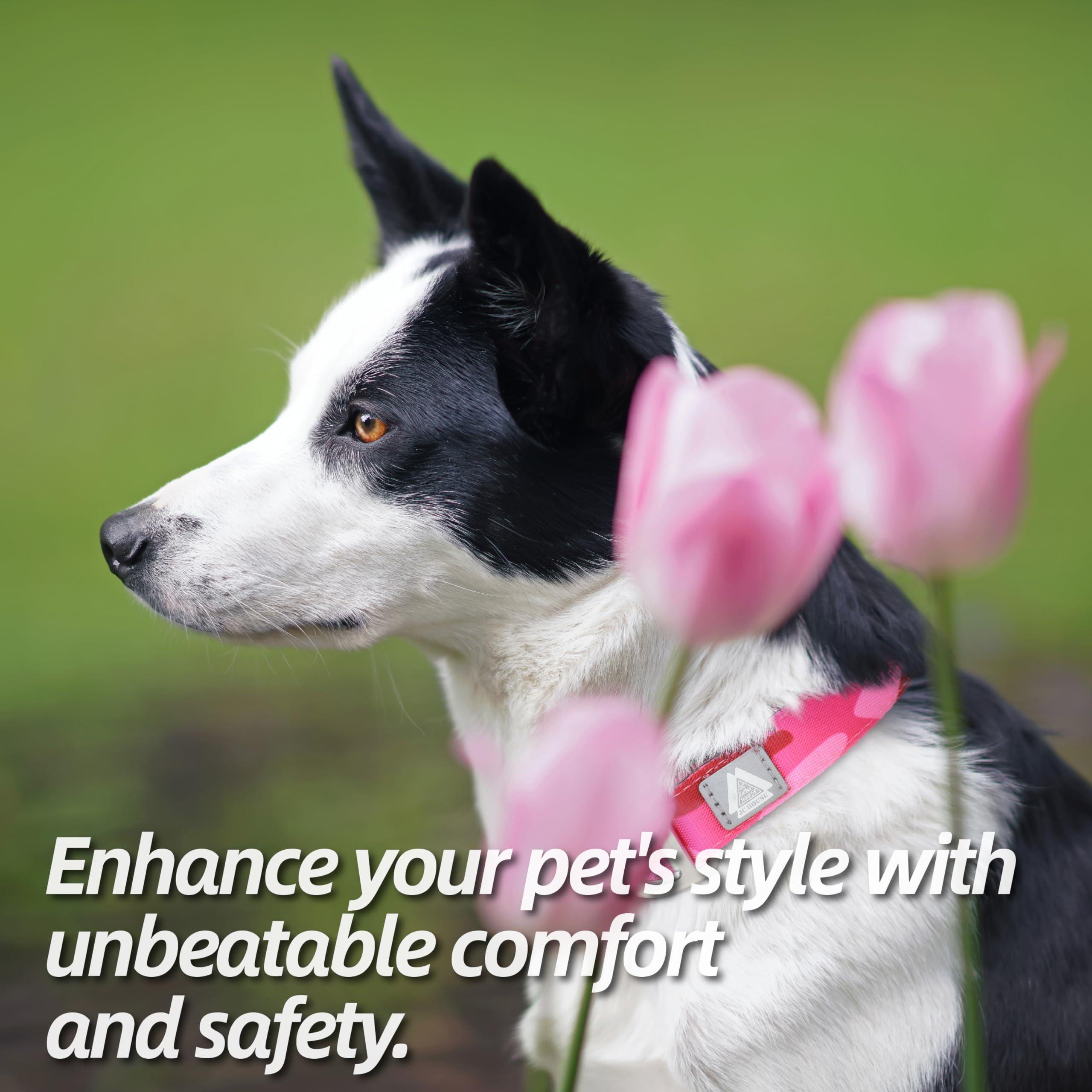 Jc House Soft Padded Dog Collar, Neck 9-14, Adjustable Heavy Duty Collar With 3M Reflective Logo For Small Dogs, Camo Pink, S