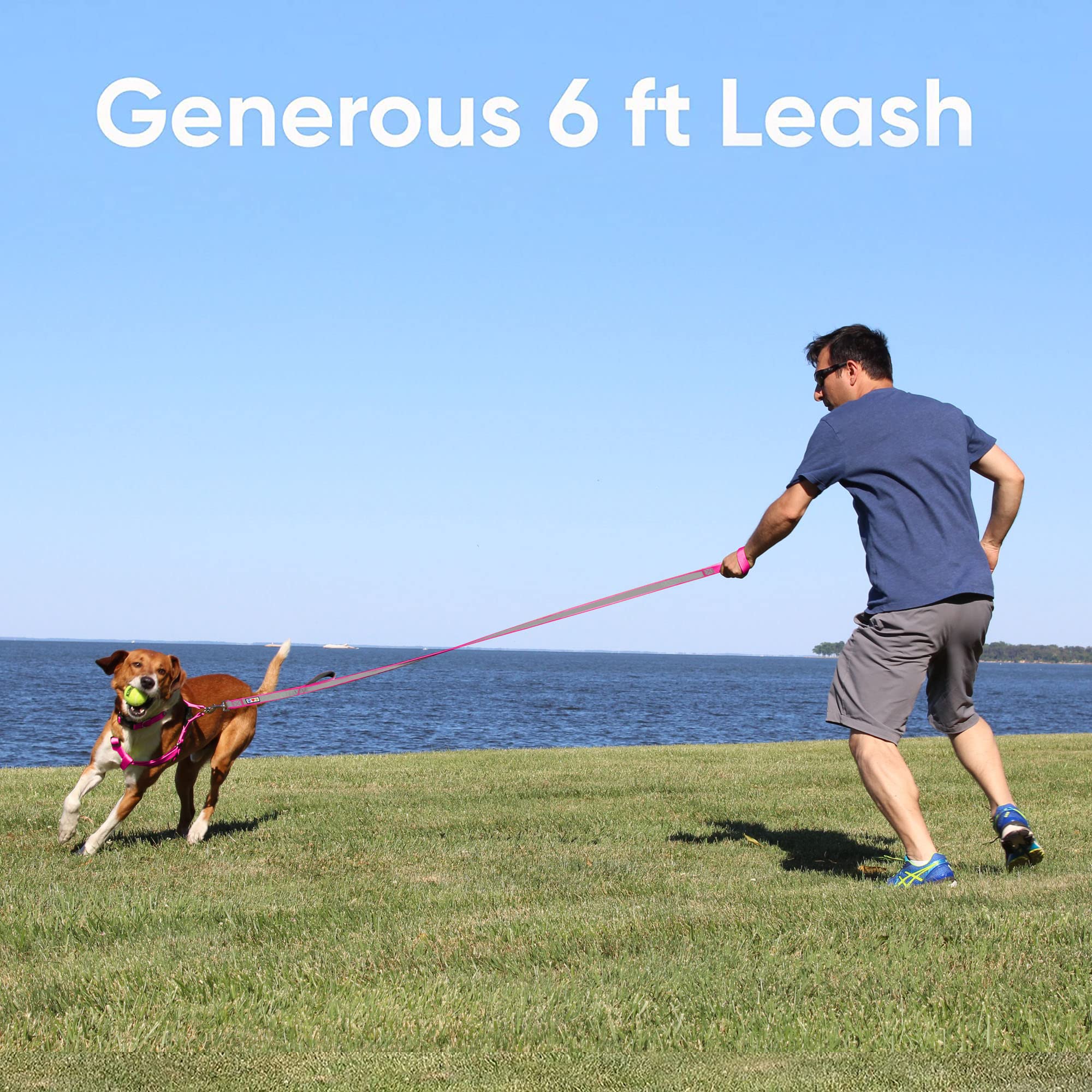 Pawtitas 6 FT Padded Dog Leash with Comfortable Neoprene Padding Handle - Camo Green Lead | Small Reflective Dog Leash with High