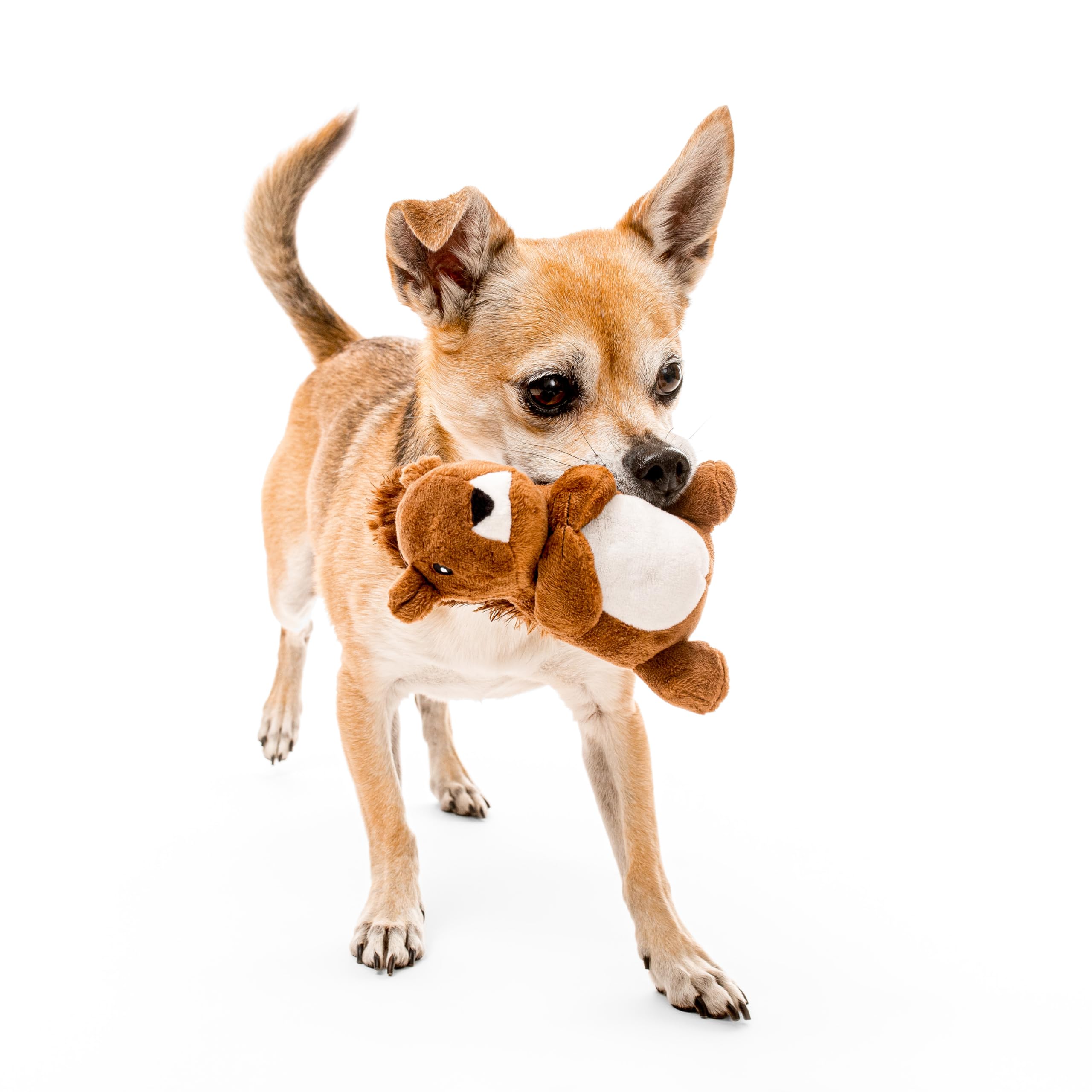 Playology Plush Toys For Dogs | Stuffed Animal Squirrel | Peanut Butter Scented For Small Dogs