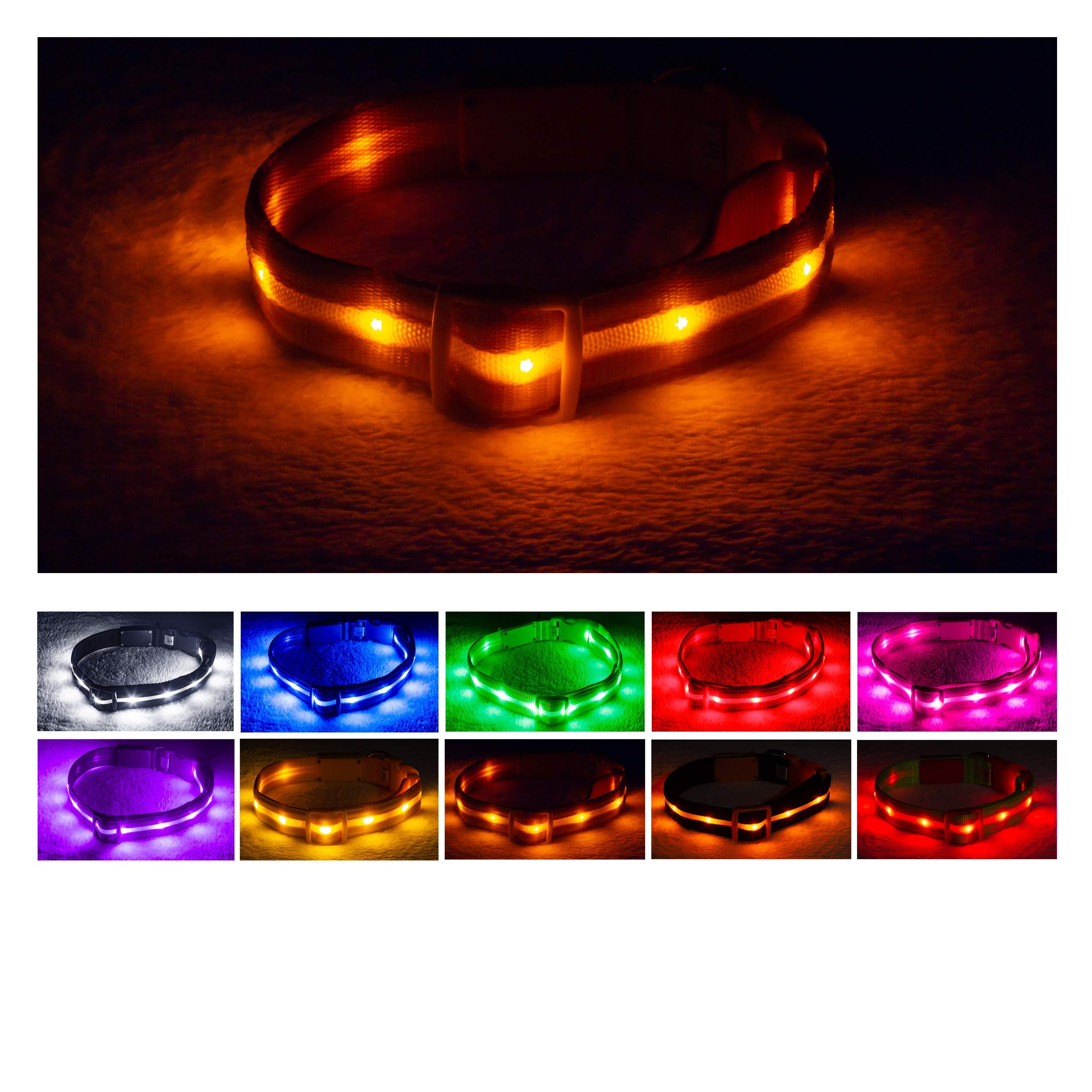 Blazin Led Light Up Dog Collar - 1,000 Feet Of Visibility - Brightest For Night Safety - Usb Rechargeable Waterproof Dog Collar