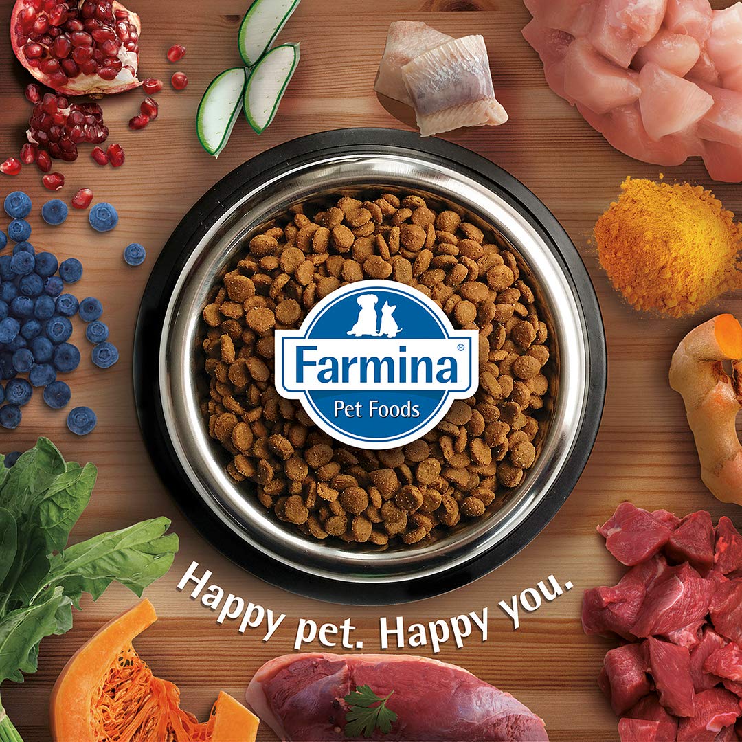 Farmina N&D, Quinoa Weight Management Lamb Quinoa Broccoli and Asparagus Recipe Adult Dry Cat Food, 3.3lb