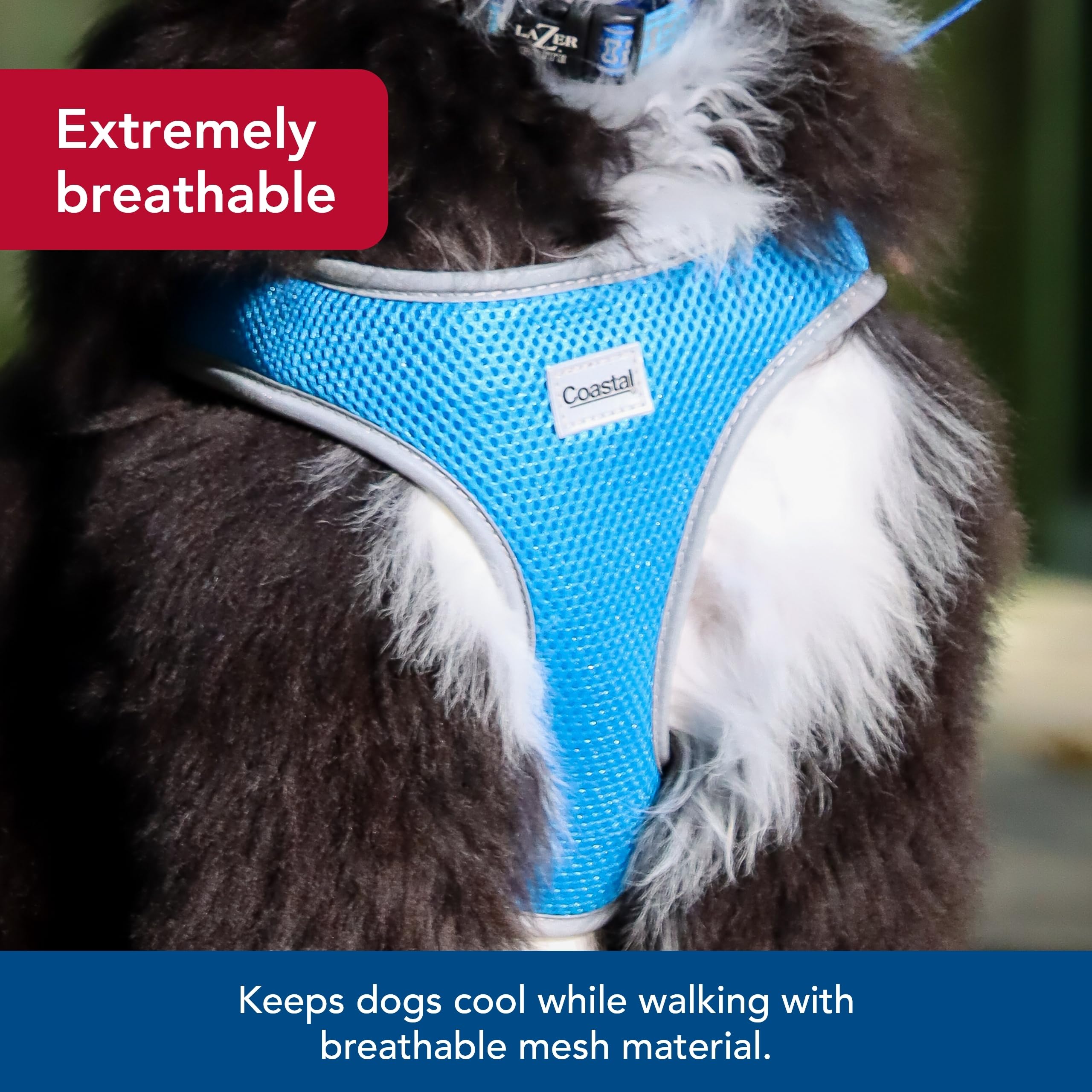 Coastal Pet Comfort Soft Reflective Wrap Adjustable Dog Harness - No-Pull Dog Harness For Small & Large Dogs - Blue Lagoon - 5/8' X 16'–19'