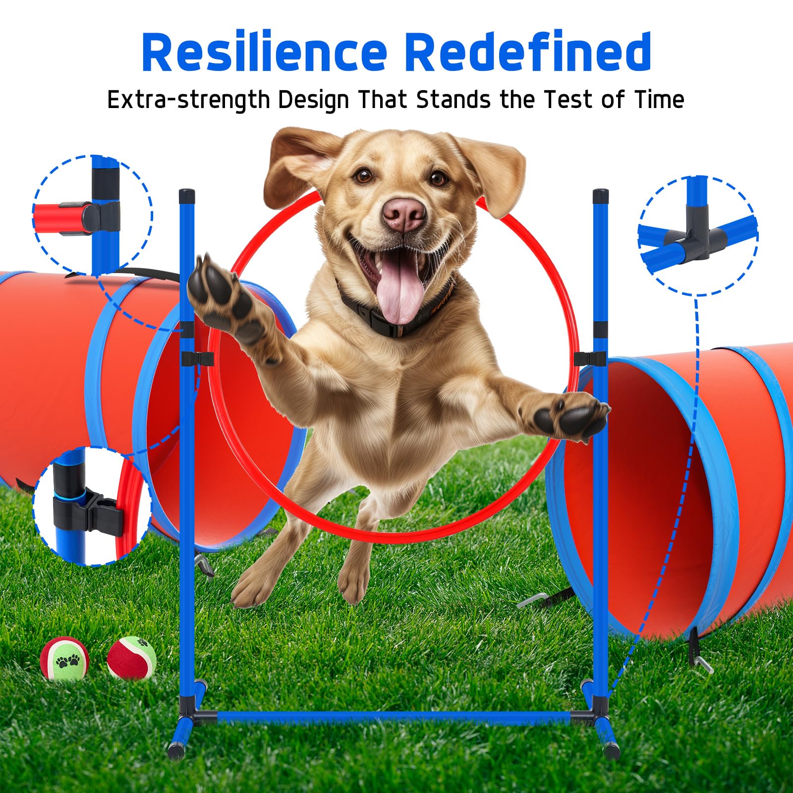 Dog Agility Training Equipment Set, Obstacle Courses Agility Training Kit For Puppy Includes 2 High Hurdles, Standard Tunnel, Bl