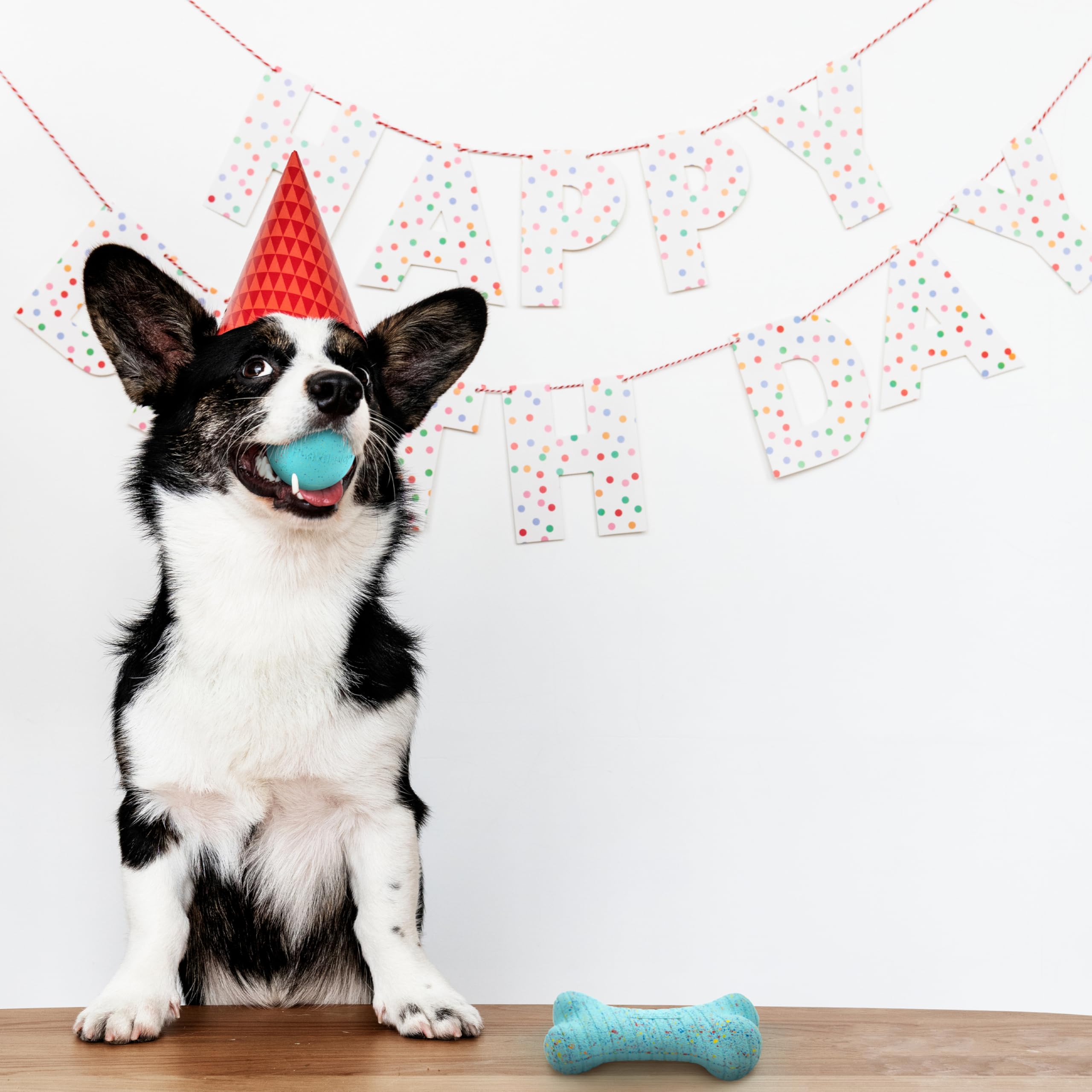 Playology Birthday Pack Dog Toys For Medium Dogs | All-Natural Peanut Butter Birthday Cake Scented Gift Bundle | 1 Squeaky Chew