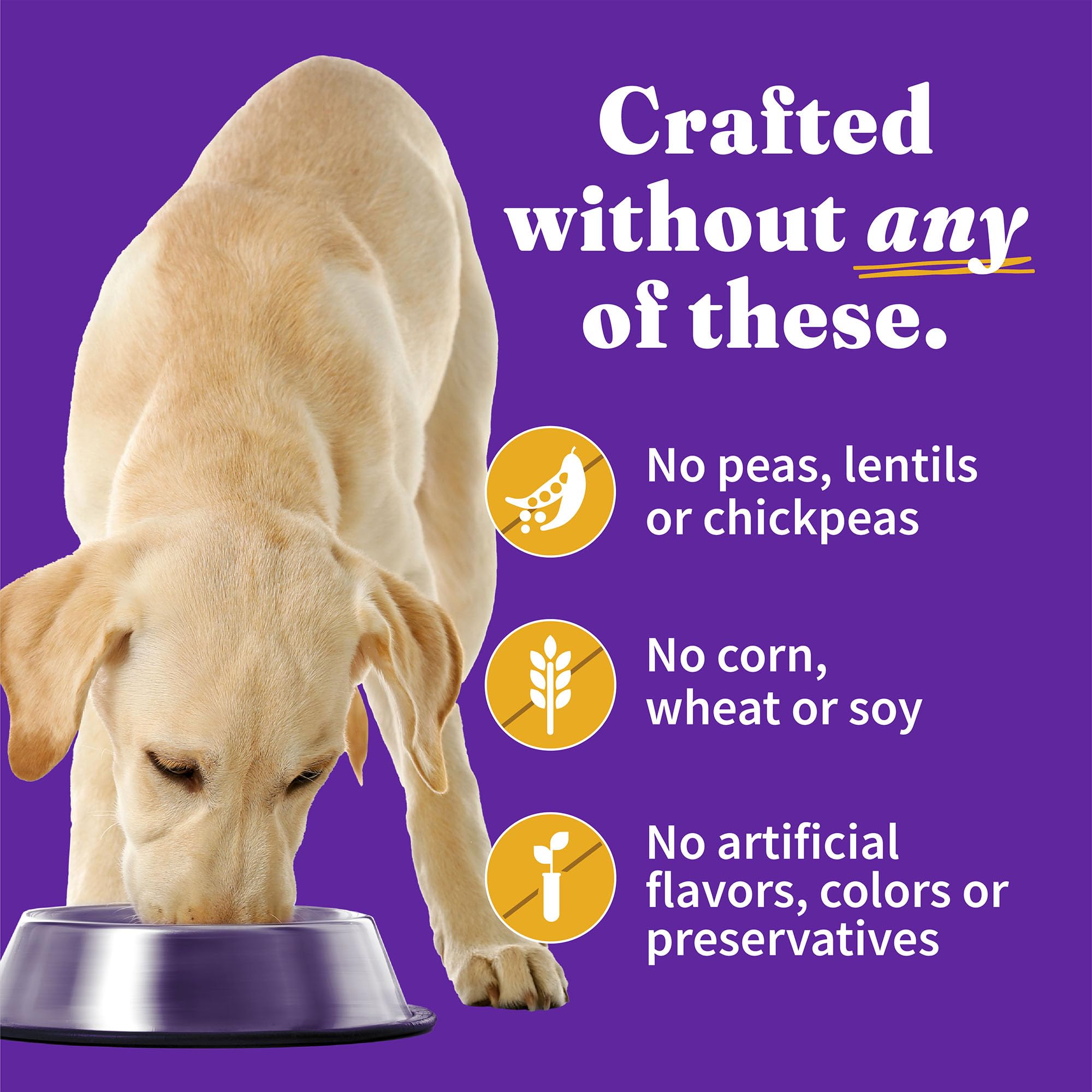 Halo Elevate Wet Dog Food Smoky BBQ Braised Glazed Chicken Stew Recipe, Grain Free Canned Dog Food, 12.7 Oz Can (Pack of 6)