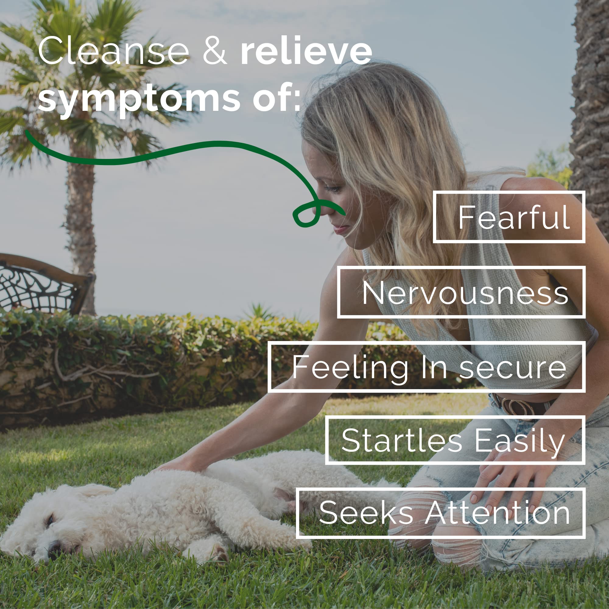 Siddha Remedies Abandonment & Separation for Pets | Natural Homeopathic Remedy for Dogs, Cats, and Animals | Naturally Helps Ani