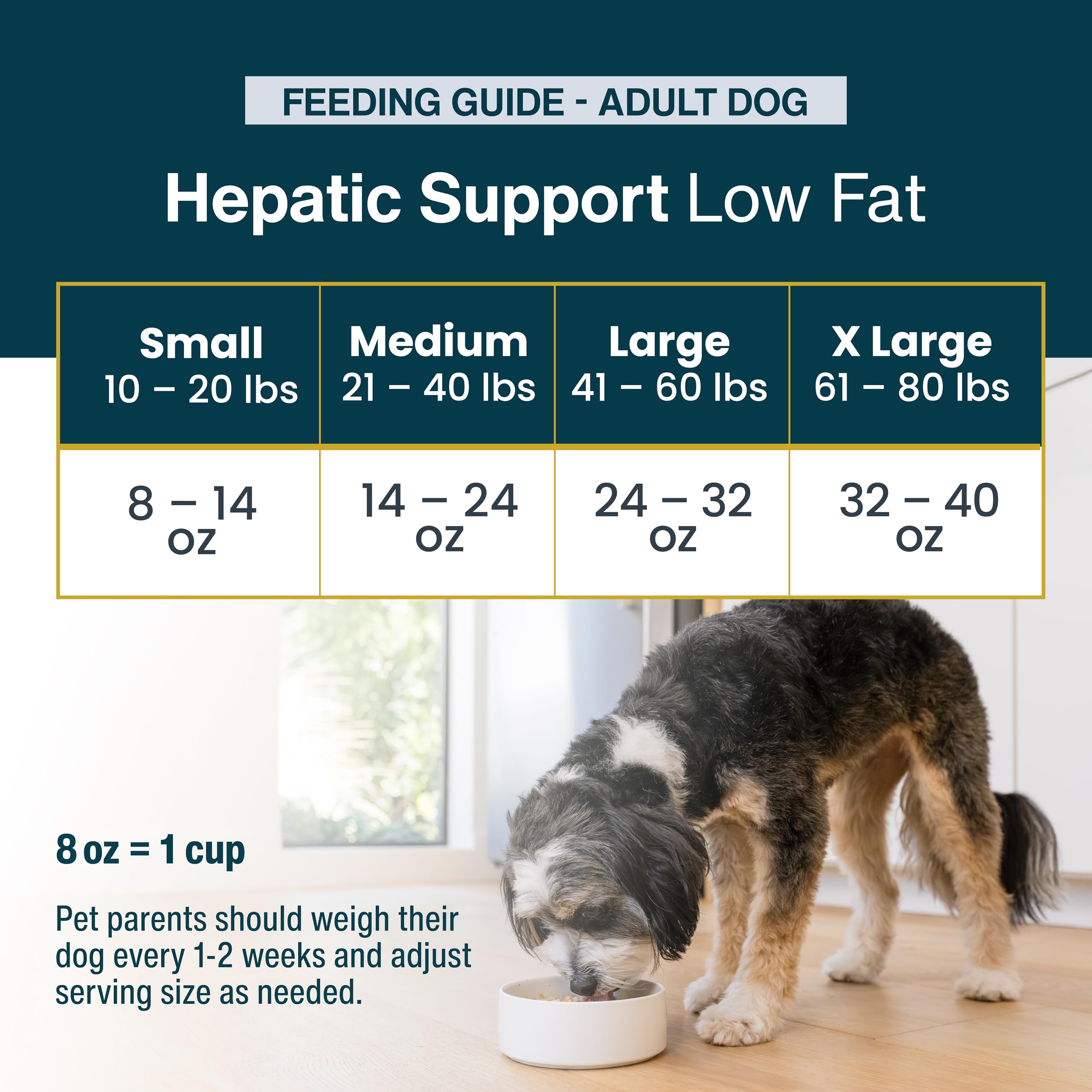JustFoodForDogs Pantry Fresh Wet Dog Food for Liver Health, Rx Hepatic Low Fat Support, Human Grade - 12.5 oz (Pack of 12)