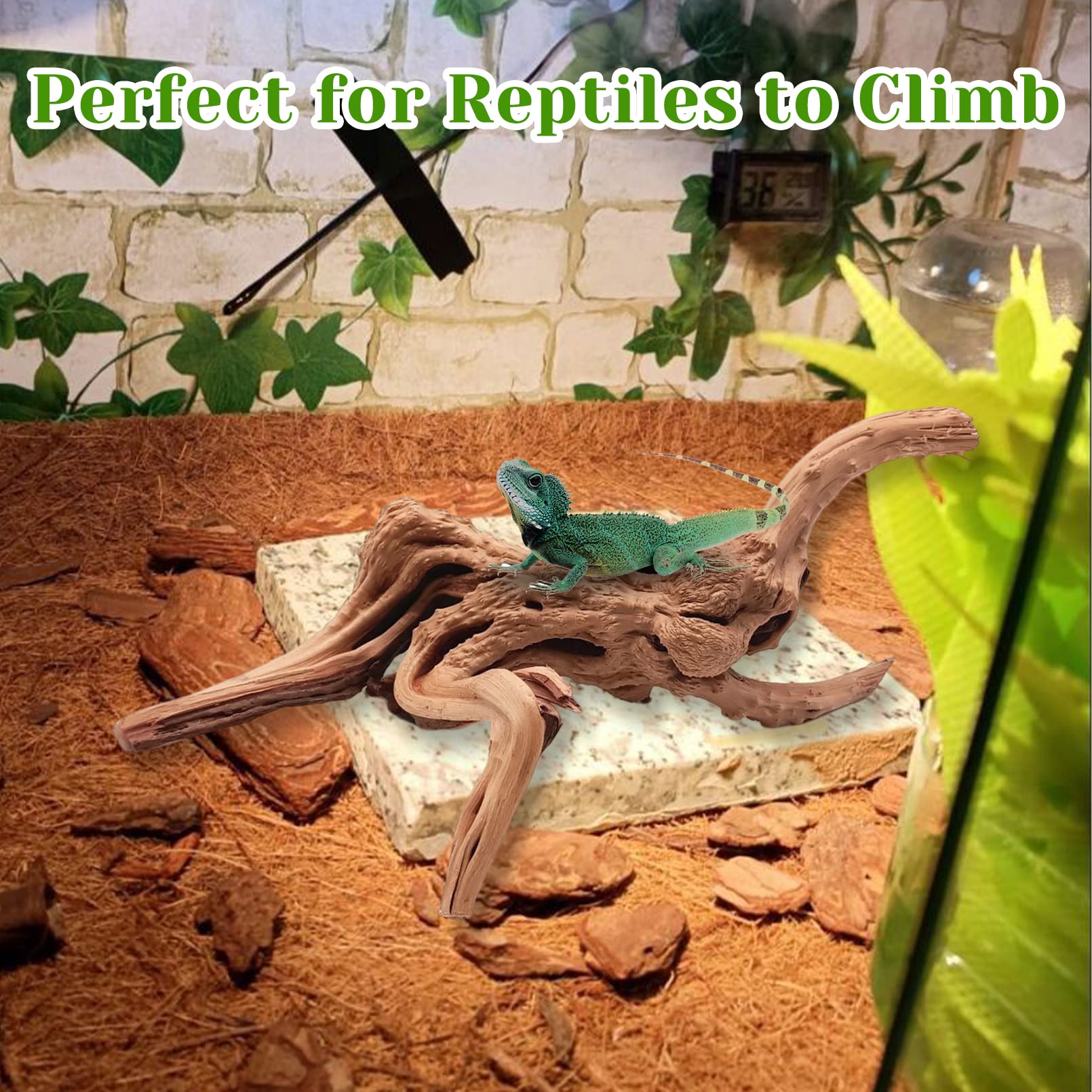 Tfwadmx Natural Driftwood for Aquarium - 11-13 inch Spiderwood, Pack of 2 Reptile Branches, Fish Tank Decoration