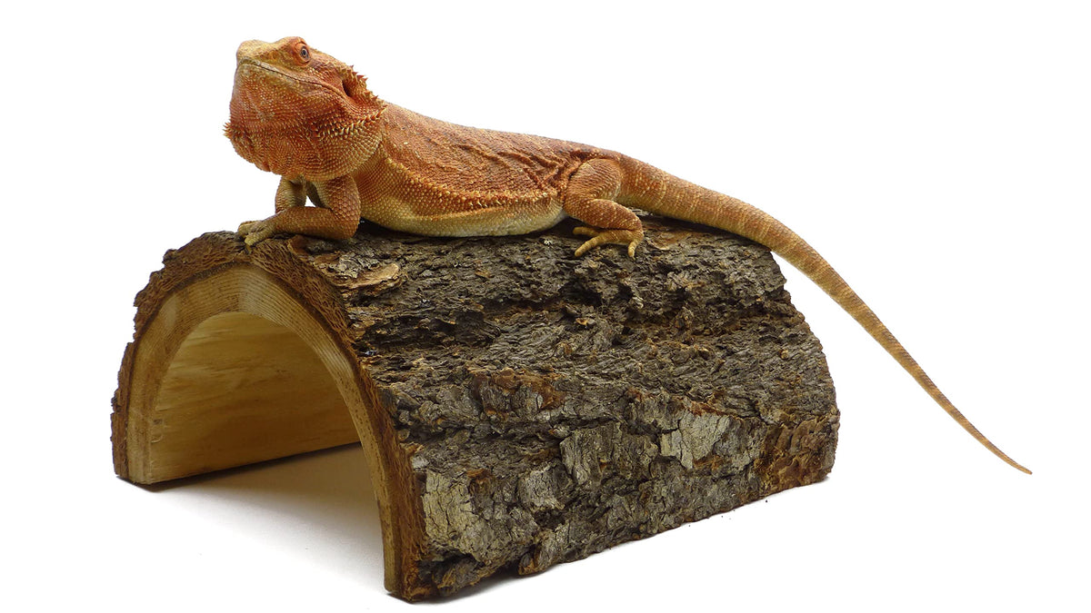 Carolinacustomcages Carolina Giant Half Log, Reptile Habitat Accessory