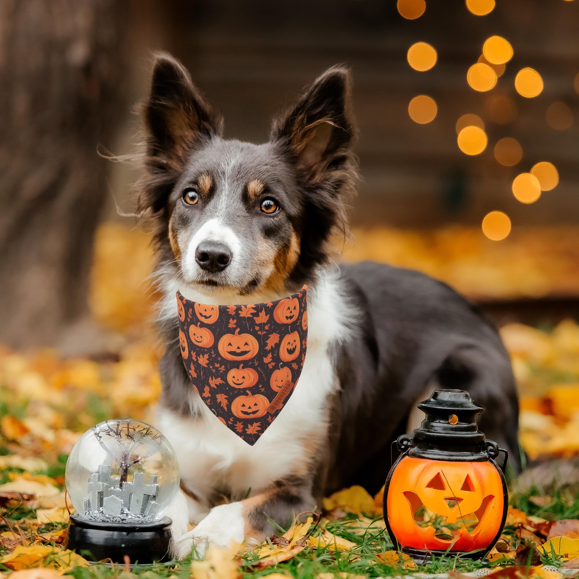 Adoggygo Halloween Dog Bandana, Pumpkin Ghost Pet Scarf, Orange Black Halloween Bandanas For Medium Large Dog (Large)