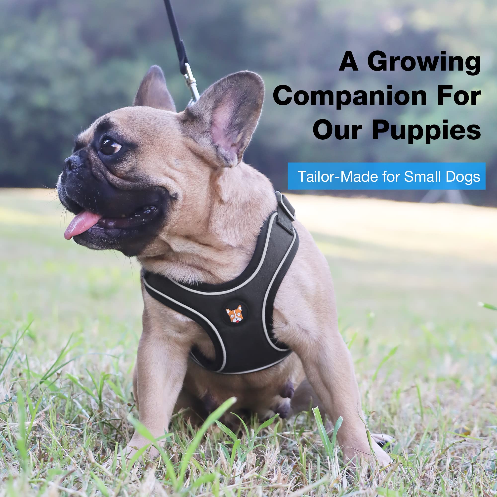 Huggiegems Adjustable Dog Harness Vest And Leash Set For Small, Medium Dogs No Pull, Step In Escape Proof Reflective Easy Walk Puppy Harness, Black, S (Comes With A Measuring Tape)