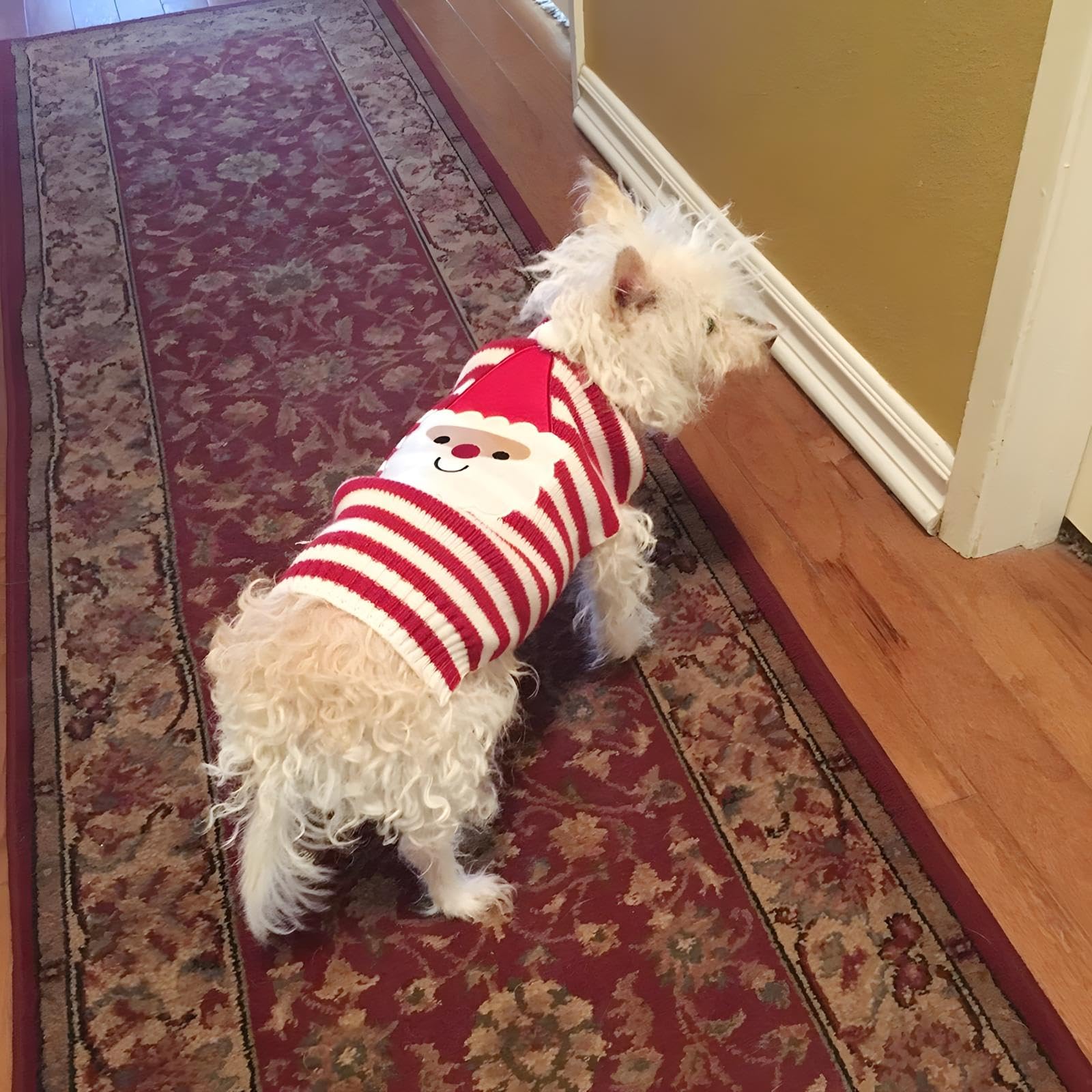 NACOCO Santa Claus Pet Sweater Dog Sweaters Cold Weather Outfit for Small to Medium Sized Dogs and Cats for Christmas Day (Santa