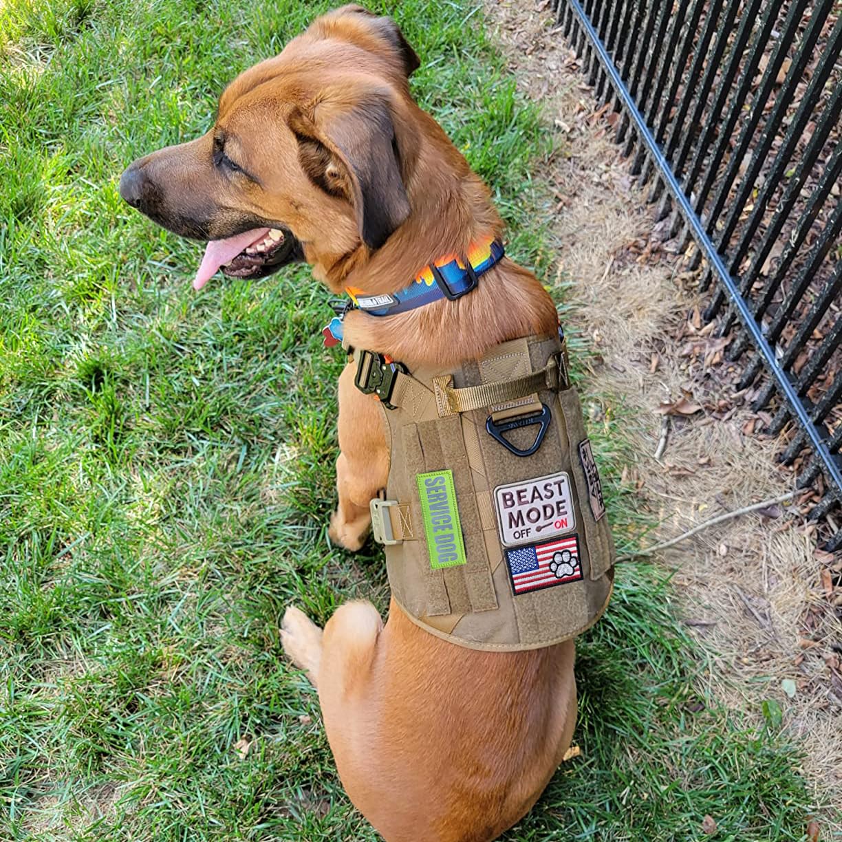 J.Carp 10 Pieces Service Dog Patches Don'T Pet In Training Do Not Touch I'M Special Full Embroidered Badge Emblem Patch For Dogs Harness Vest Clothes Green