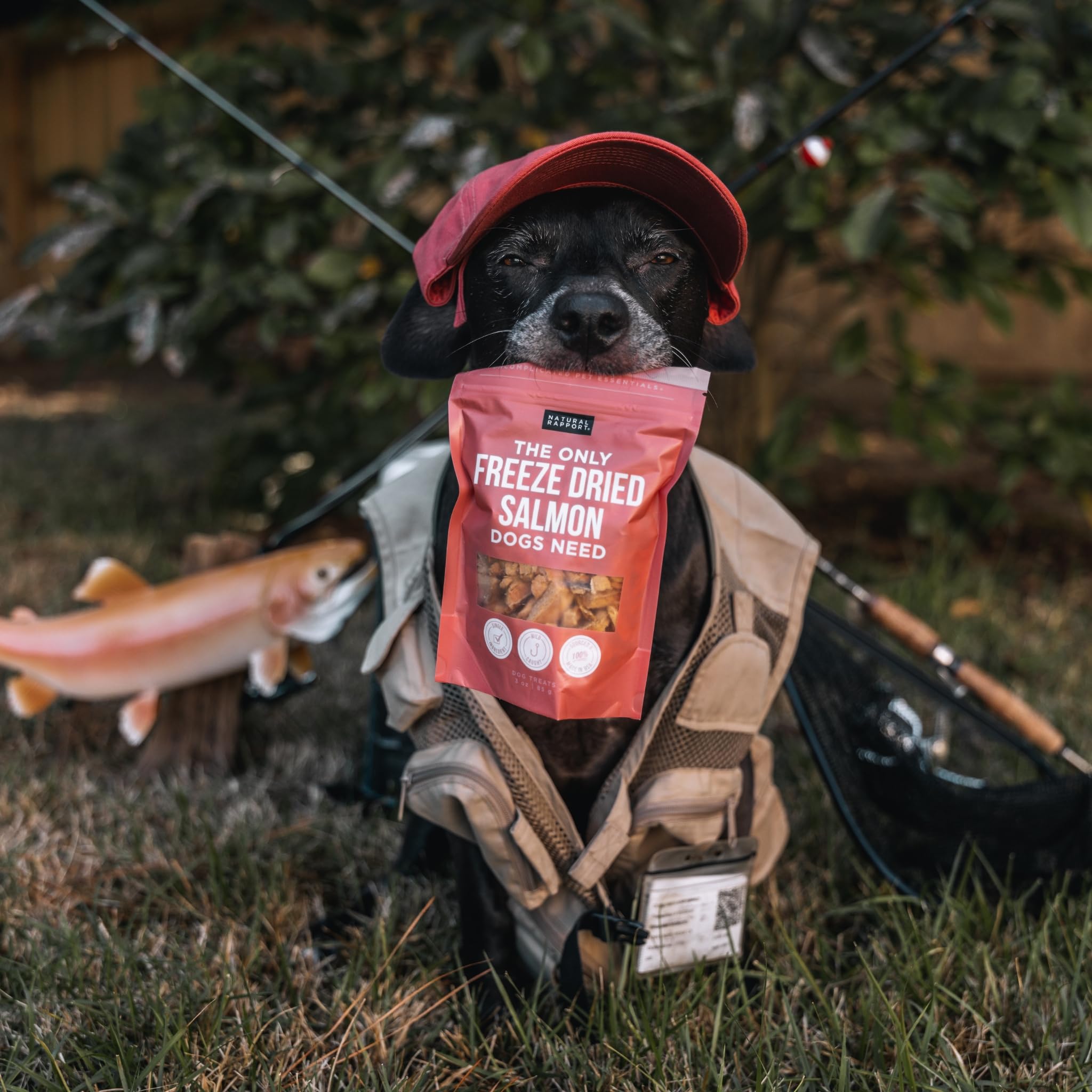 Natural Rapport Salmon Dog Treats - The Only Freeze Dried Salmon Dogs Need - All Natural Dog Treats for Small and Large Dogs (3
