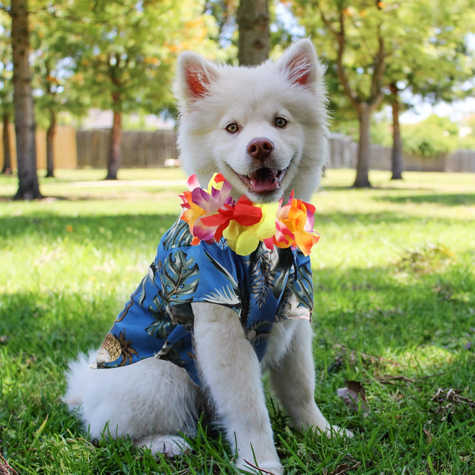 3 Pieces Pet Dog Hawaiian Costume, Includes Puppy Cool T-Shirts Summer Clothes, Funny Cute Dog Retro Fashion Sunglasses and a Co