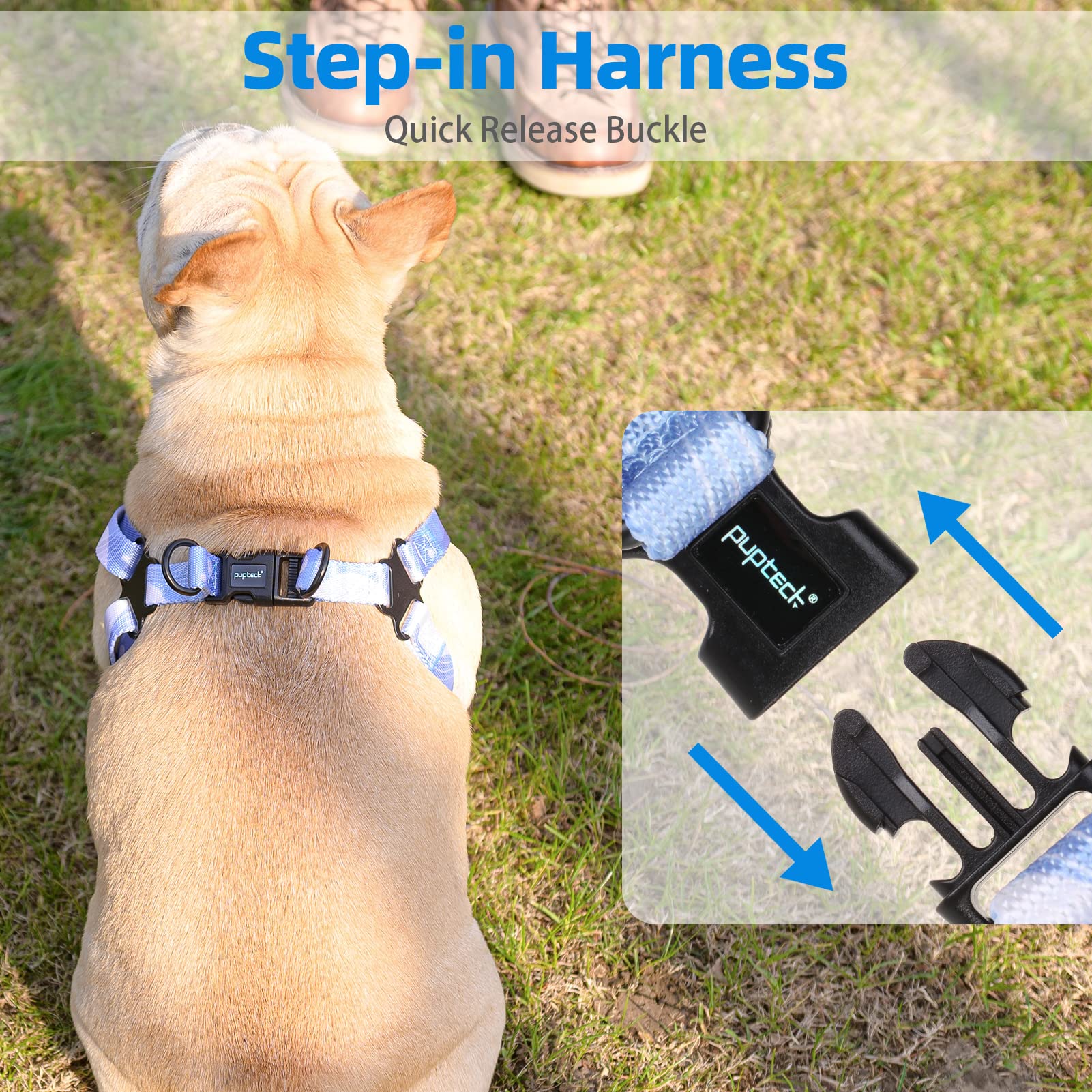 Pupteck Dog Harness And Leash Set No Pull Step In Soft Adjustable Pet Harnesses For Small Medium Dogs Outdoor Walking Training,